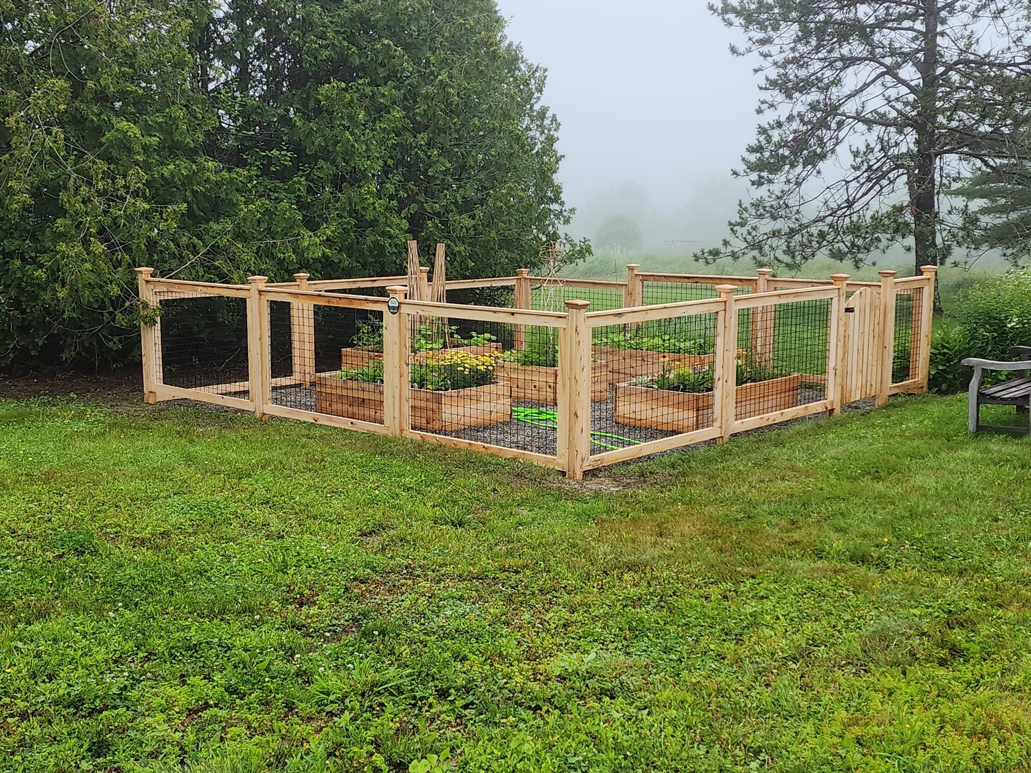 cedar welded wire panel garden enclosure (WW2)