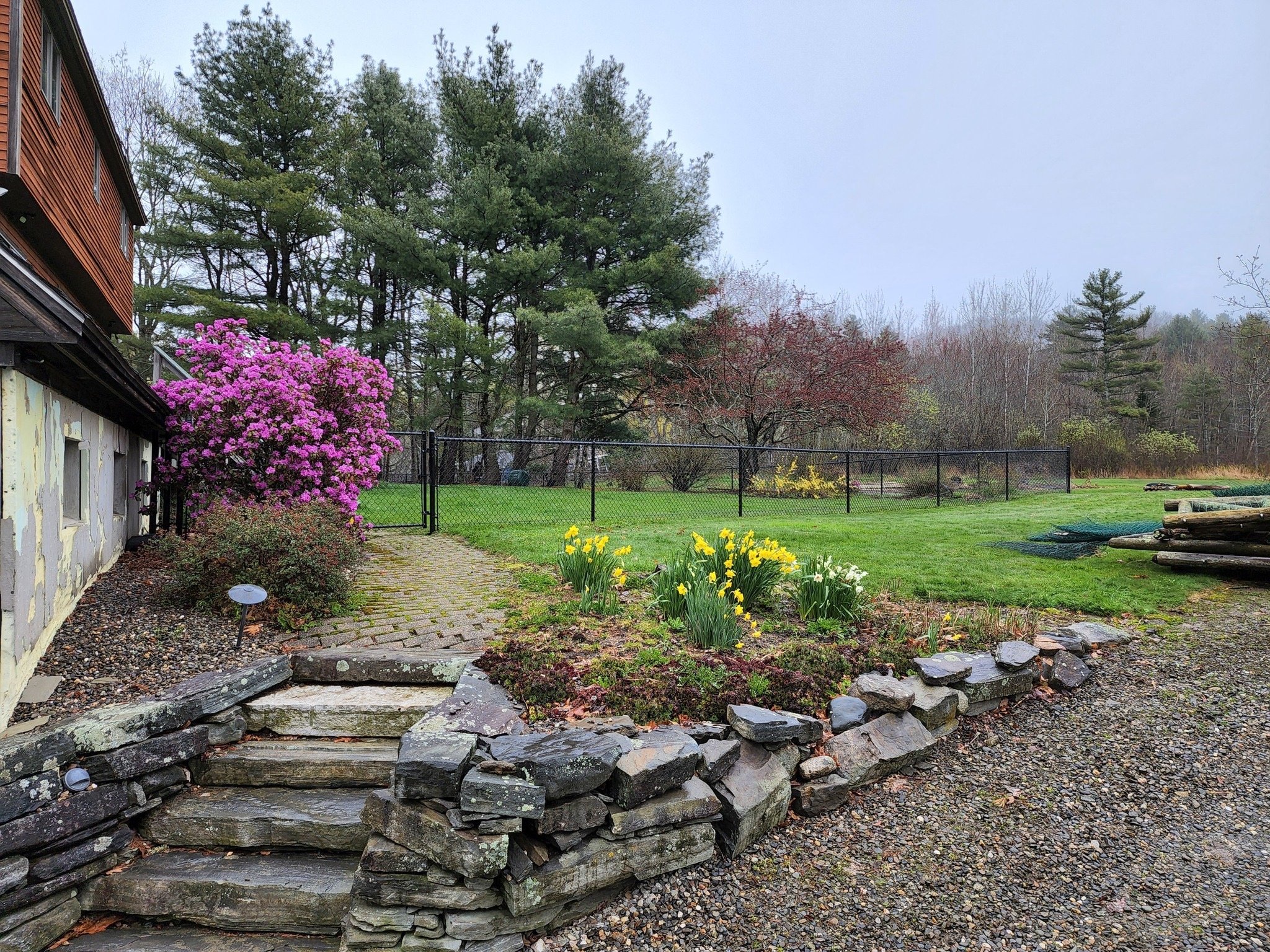 Image 55.jpg