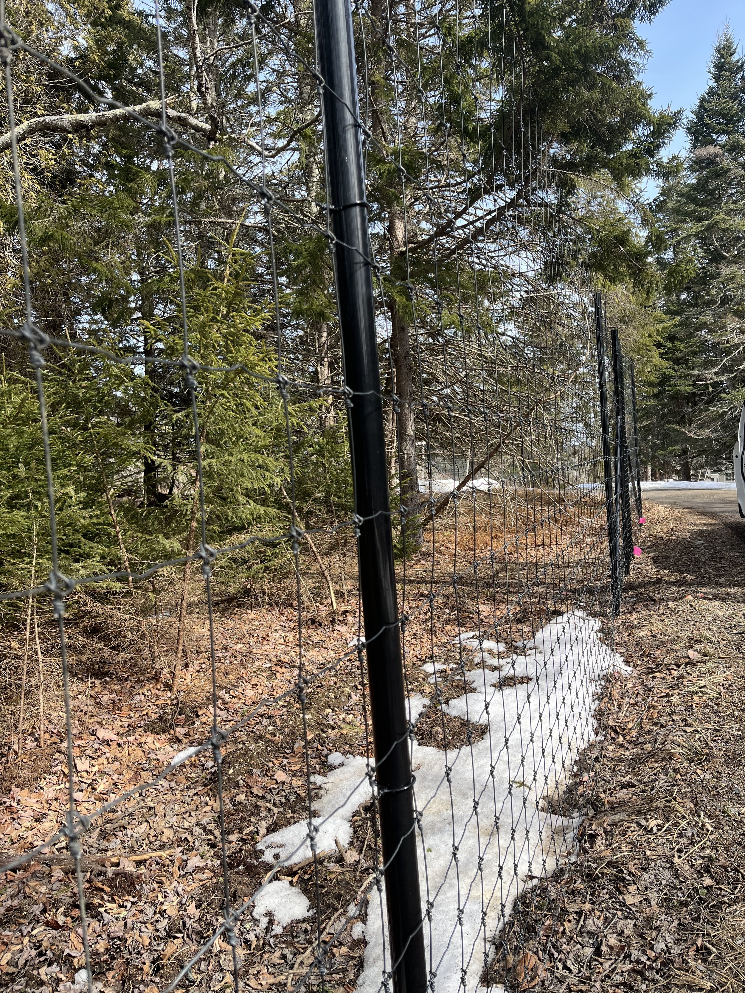 8' tall black deer fence on black posts (DF3)