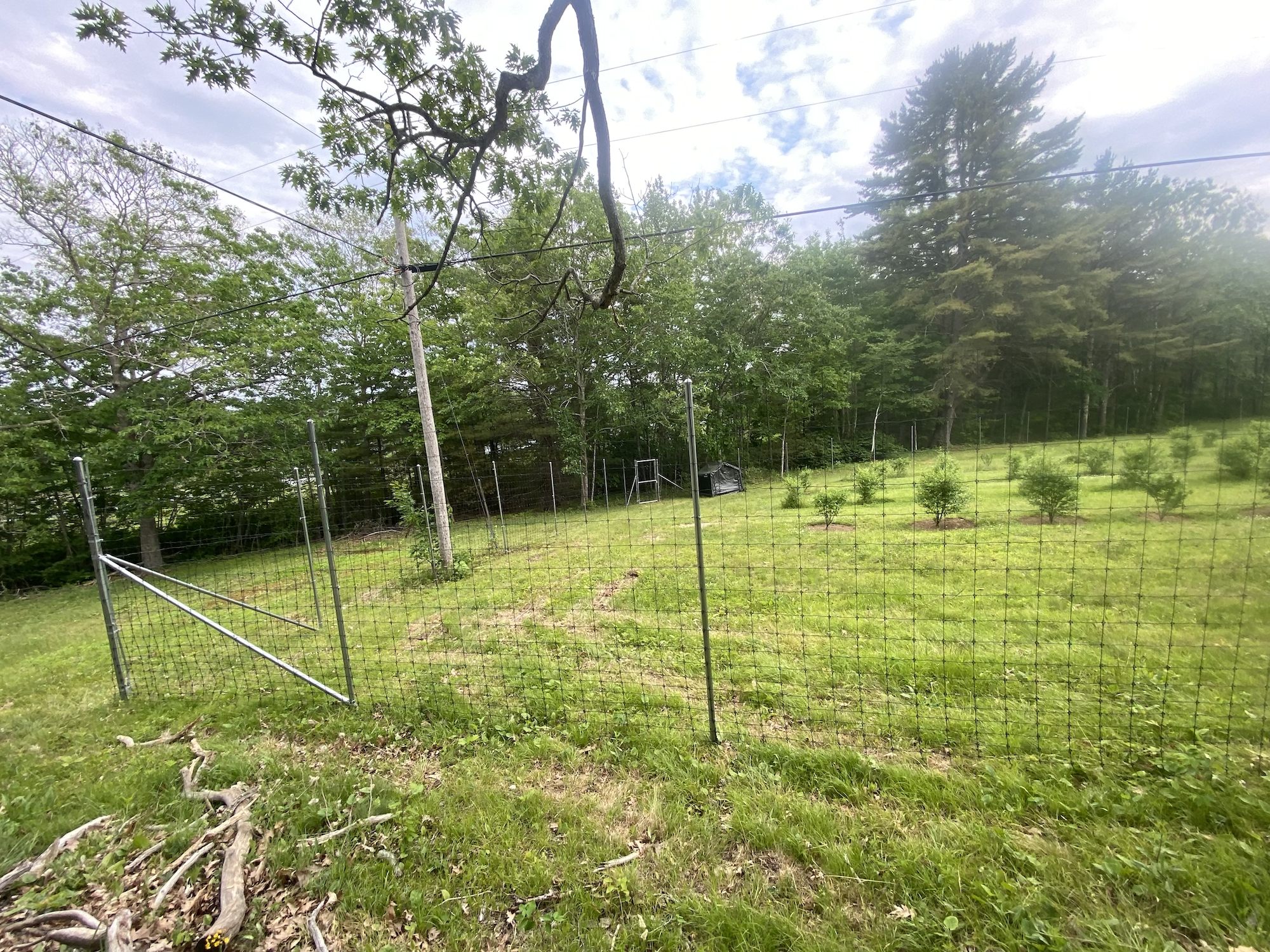 deer / agricultural — Midcoast Fence