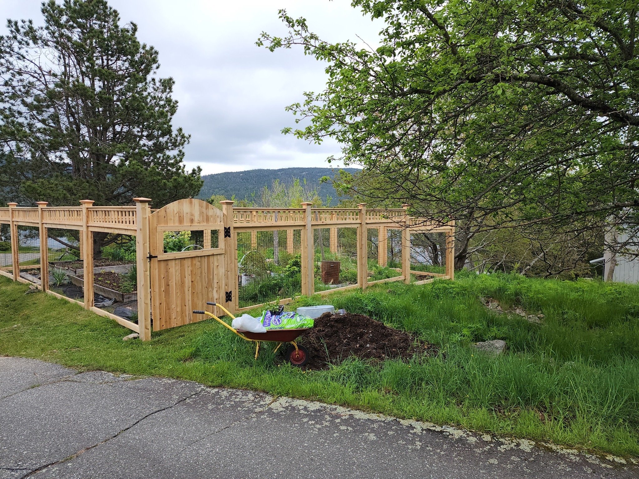 cedar welded wire panel garden enclosure with victorian topper and custom walk gate (WW3)