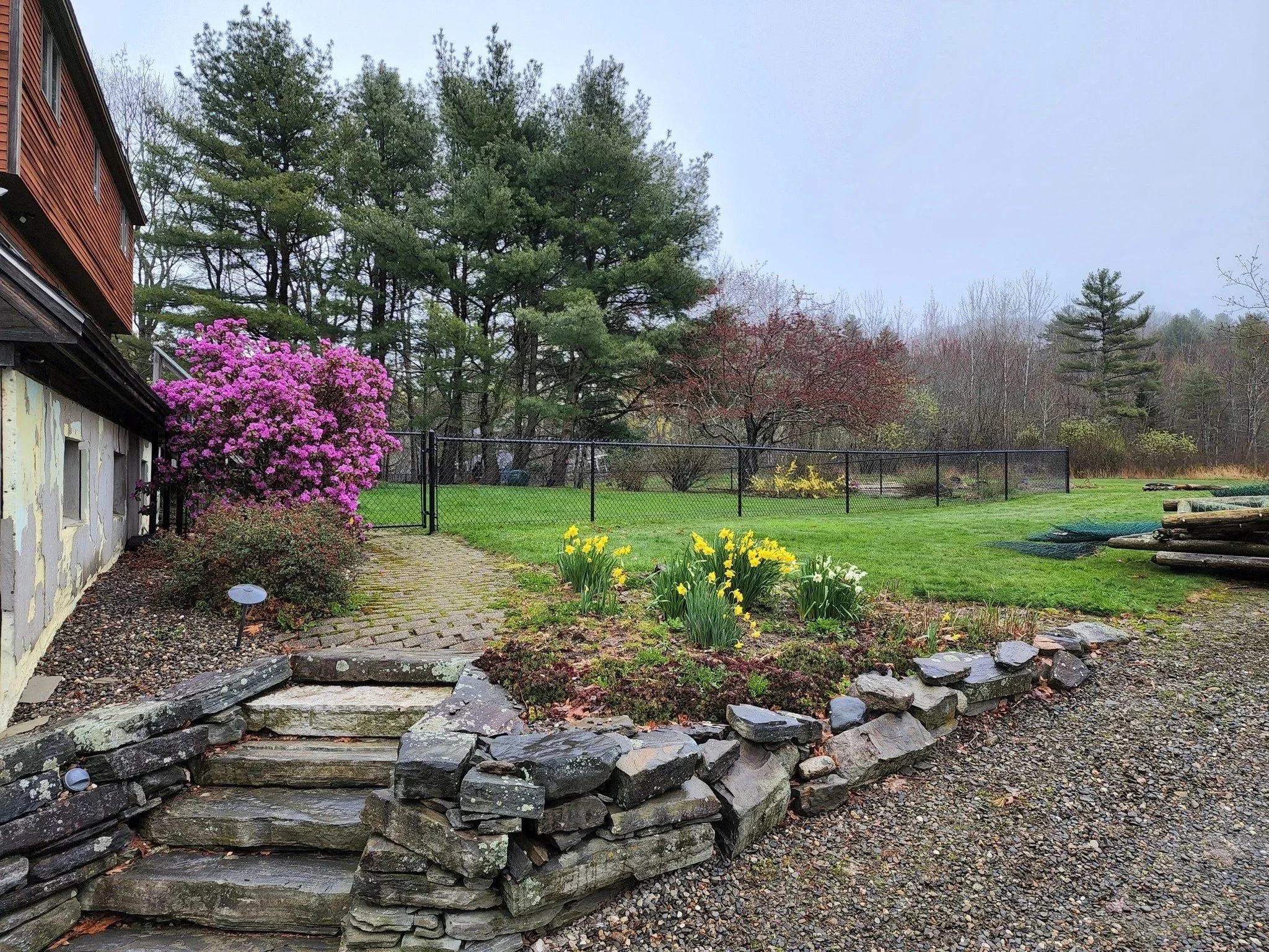 chain link / ornamental