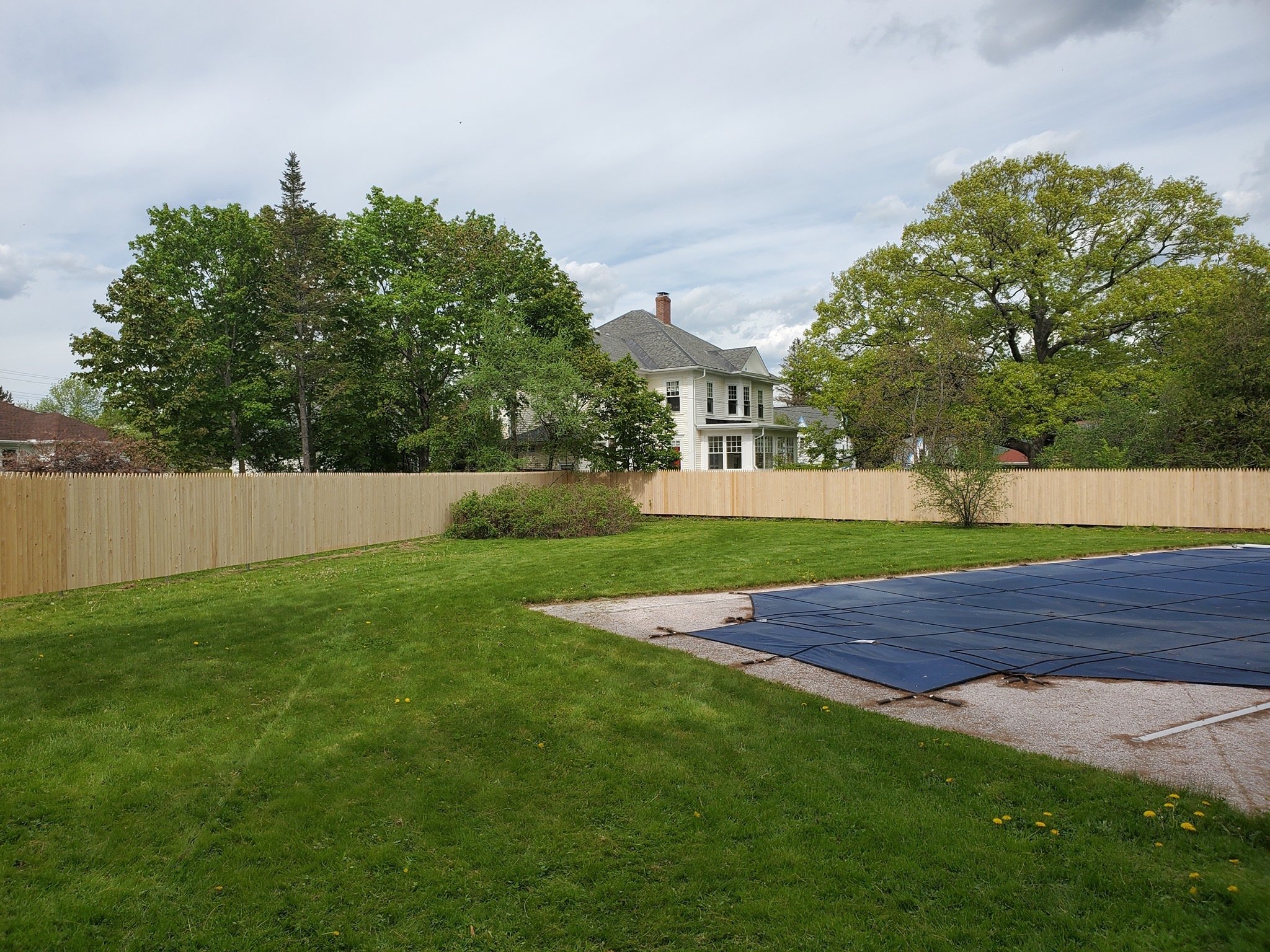 6' spruce stockade on exposed steel (C24)