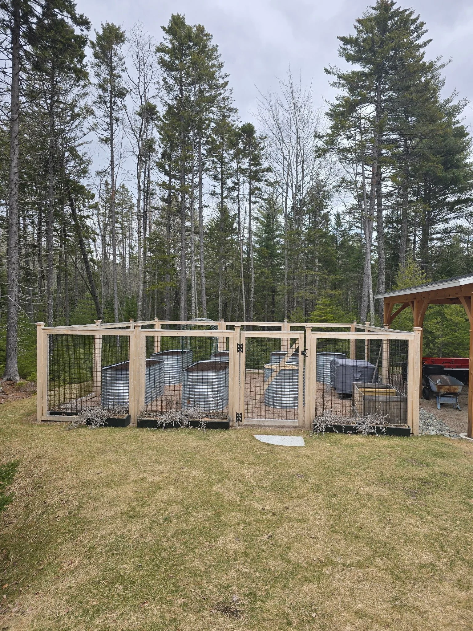 6' tall cedar wrapped black welded wire panels (WW30)