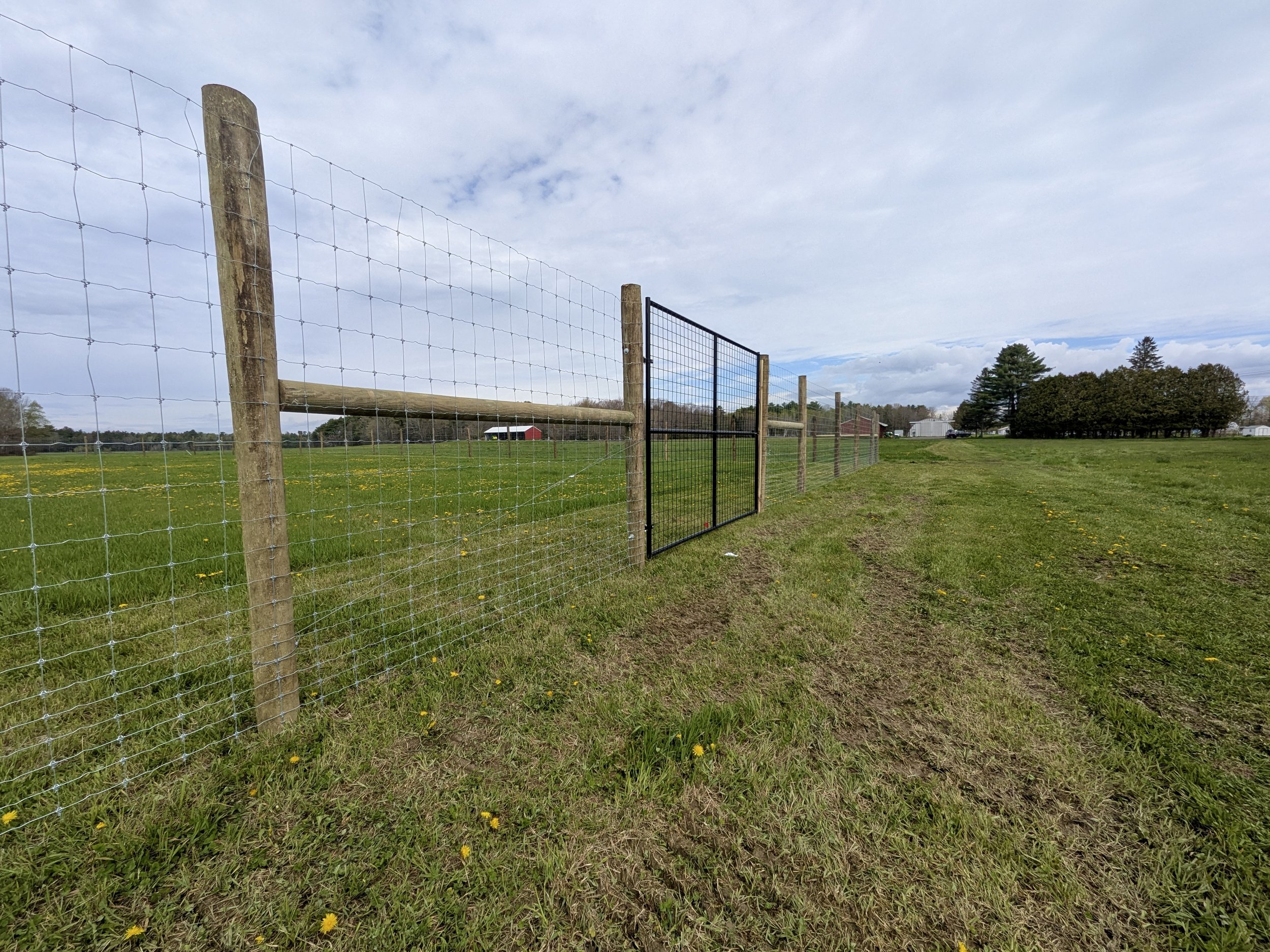 Graduated deer fence on PT posts with deer gate (DF6)