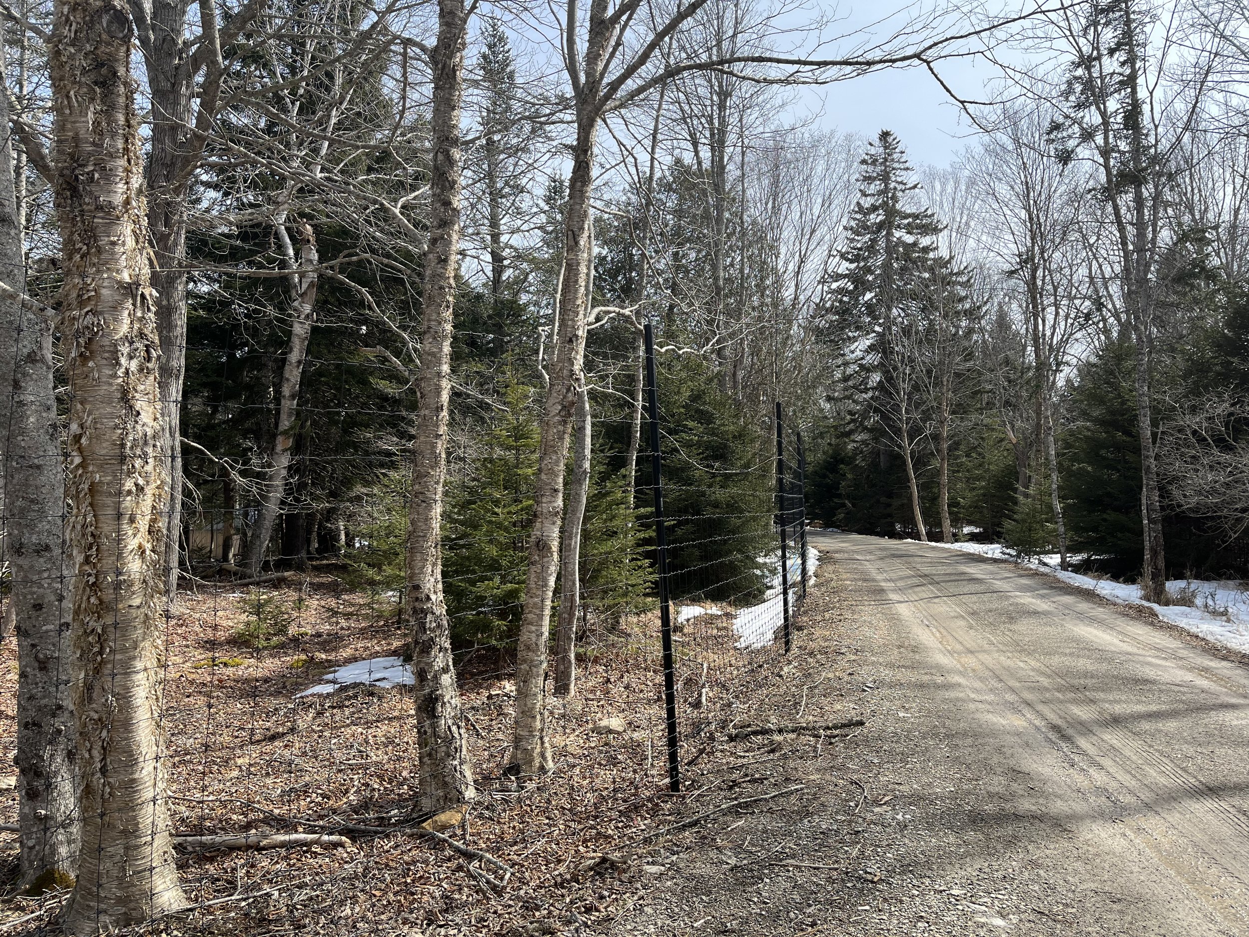 8' tall black deer fence on black posts (DF3)