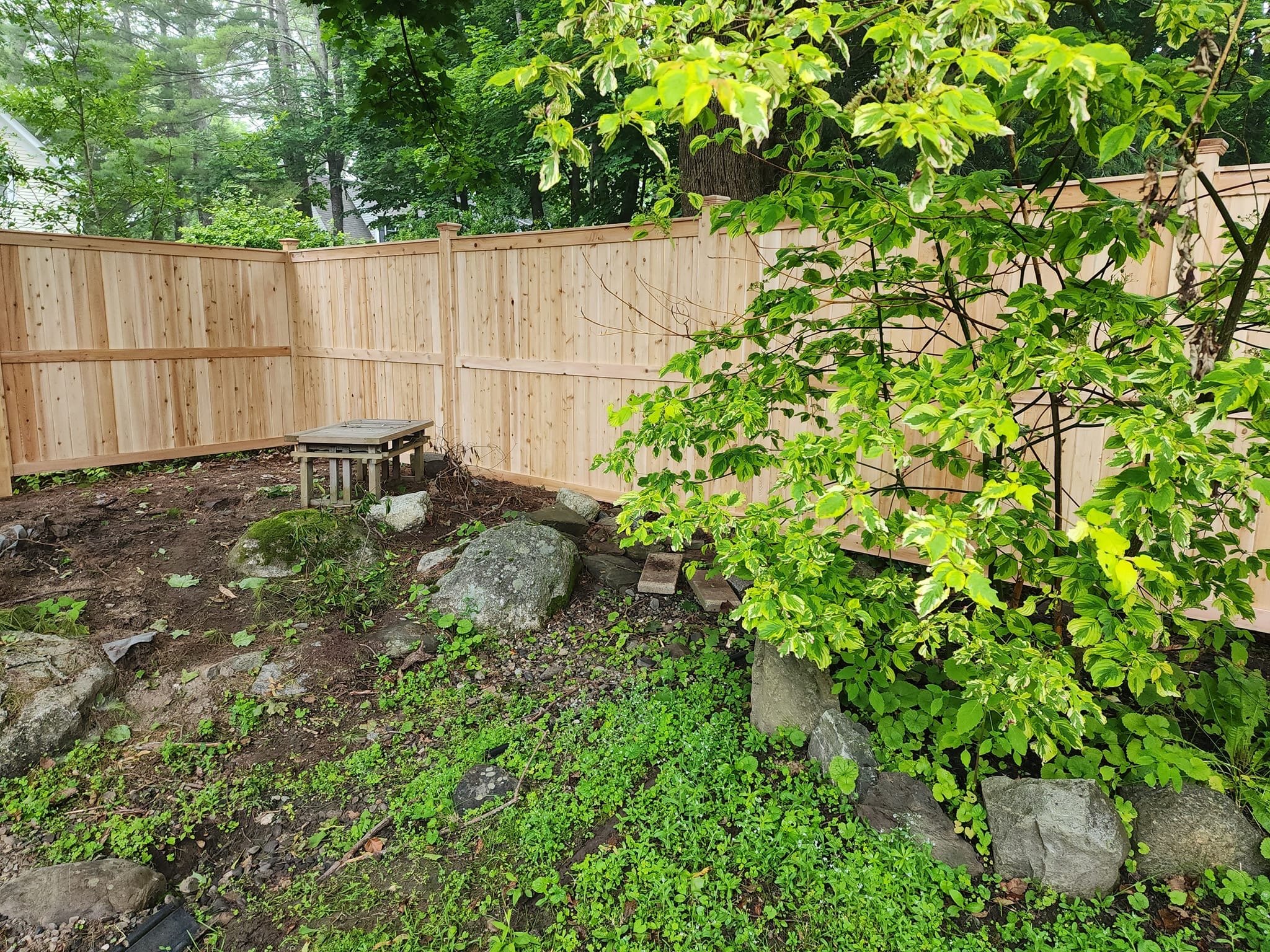 #2 cedar good neighbor panel (C13)