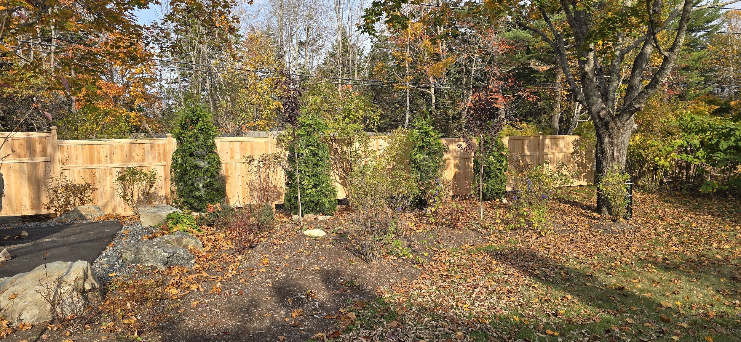 #2 cedar good neighbor privacy panels (C15)