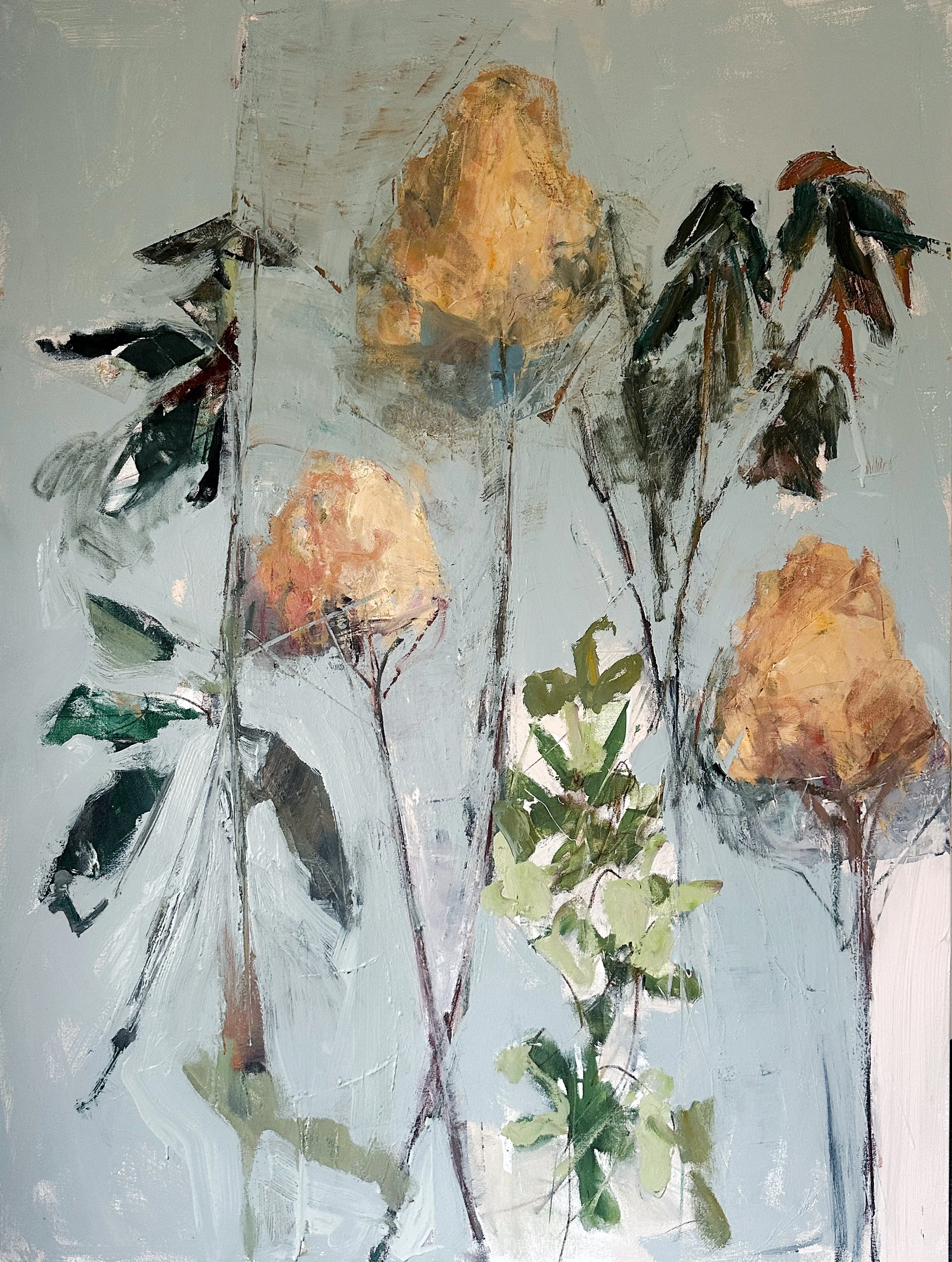 CATE WEST ZAHL | NATURE STUDIES 