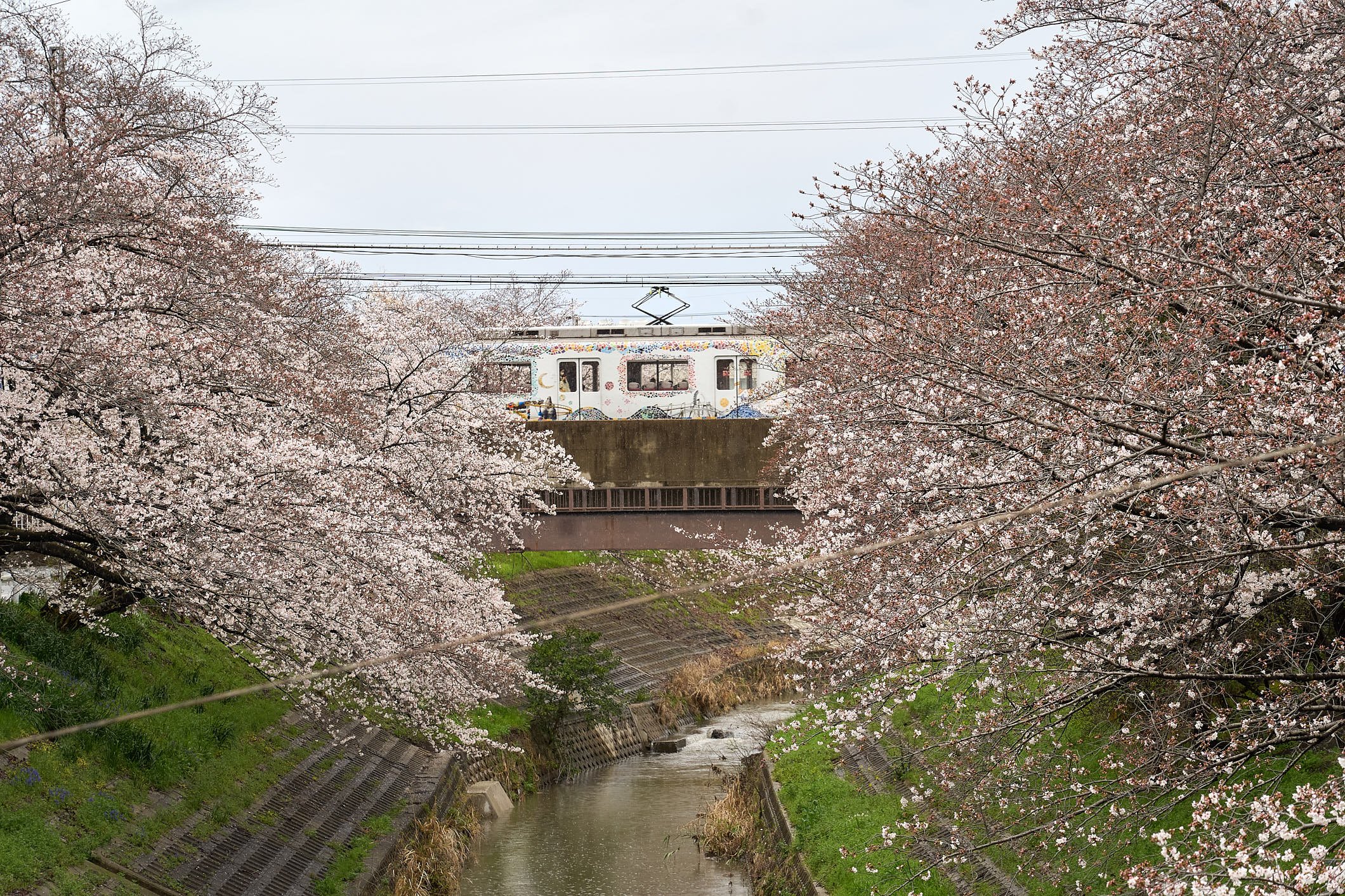 126.jpg