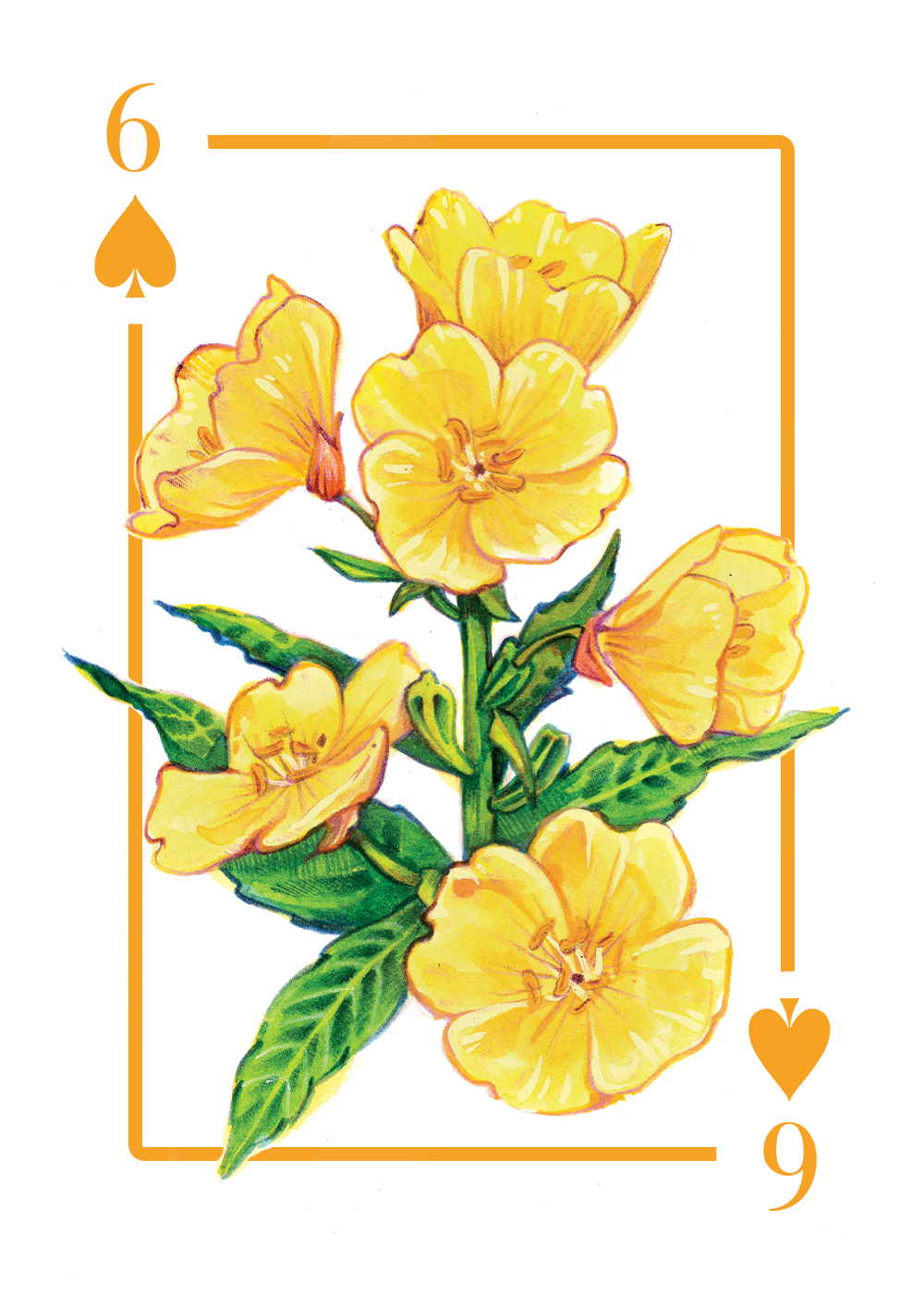 6_spades_first draft.PNG