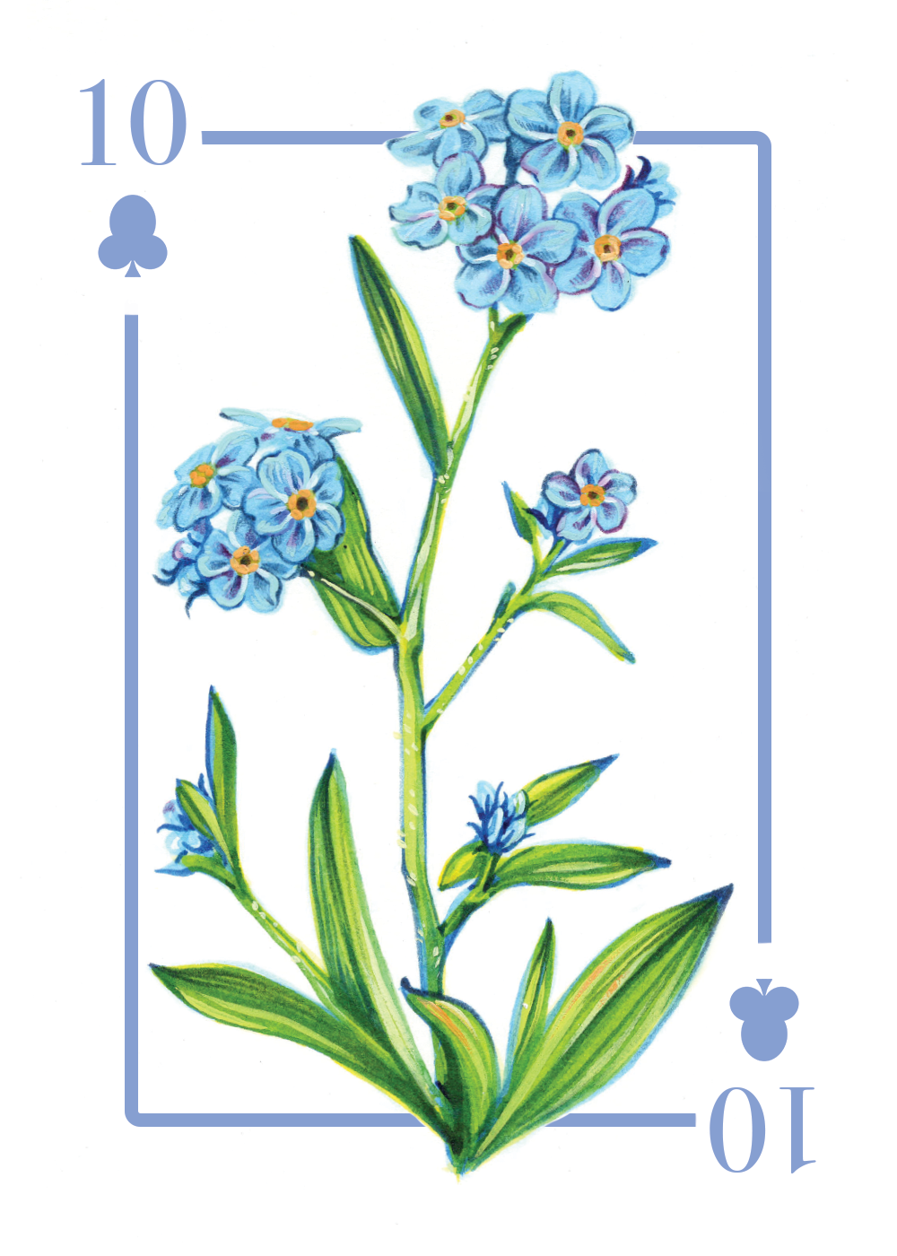 Forget-me-nots