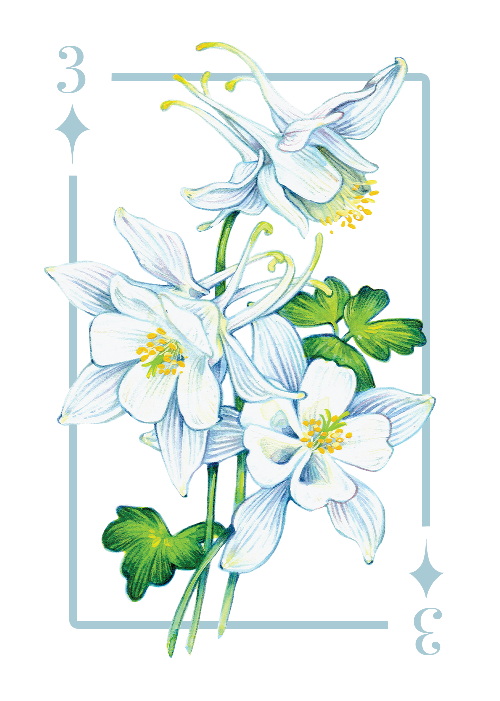 3_diamonds_first draft.PNG