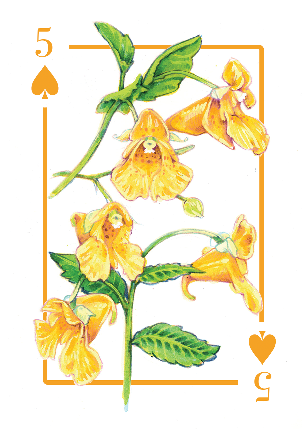 5_spades_first draft.PNG