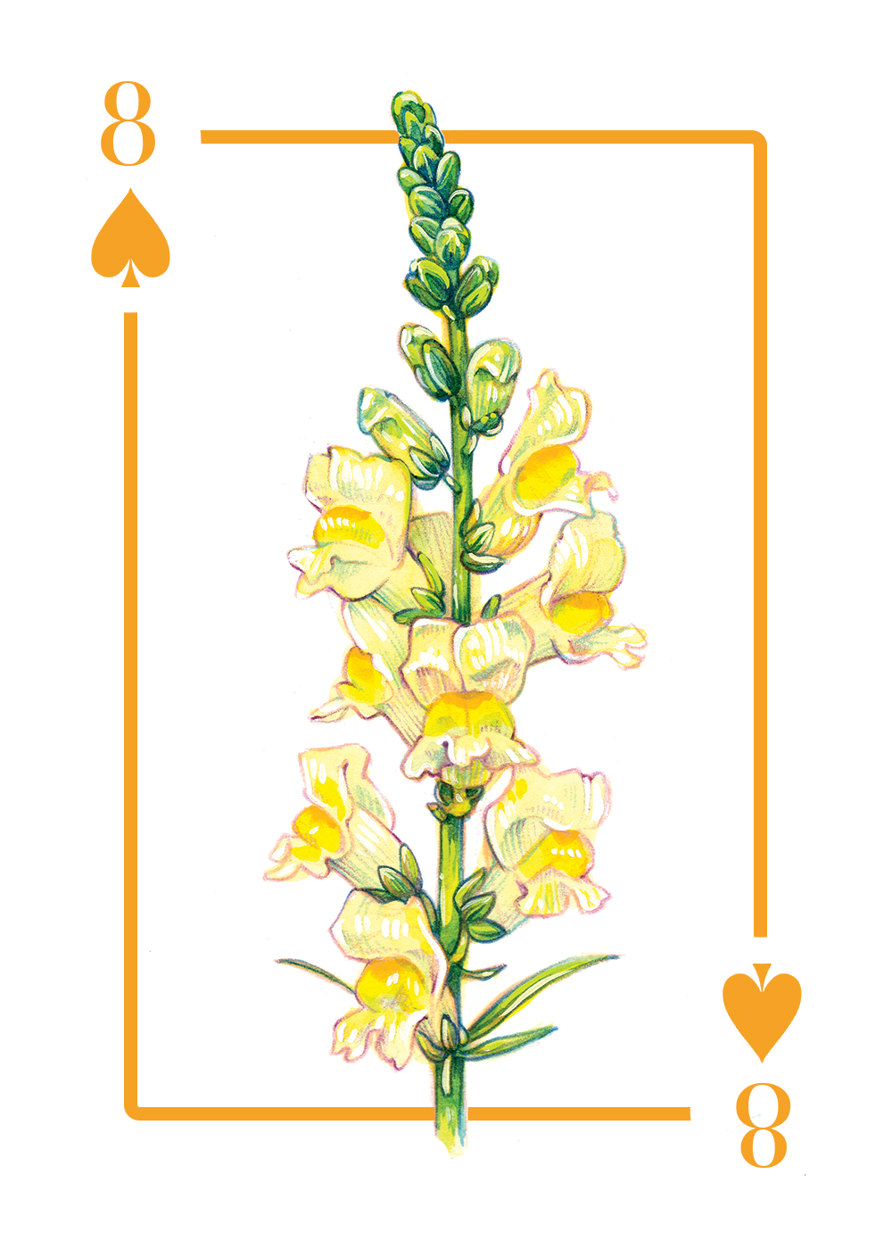 8_spades_first draft.PNG