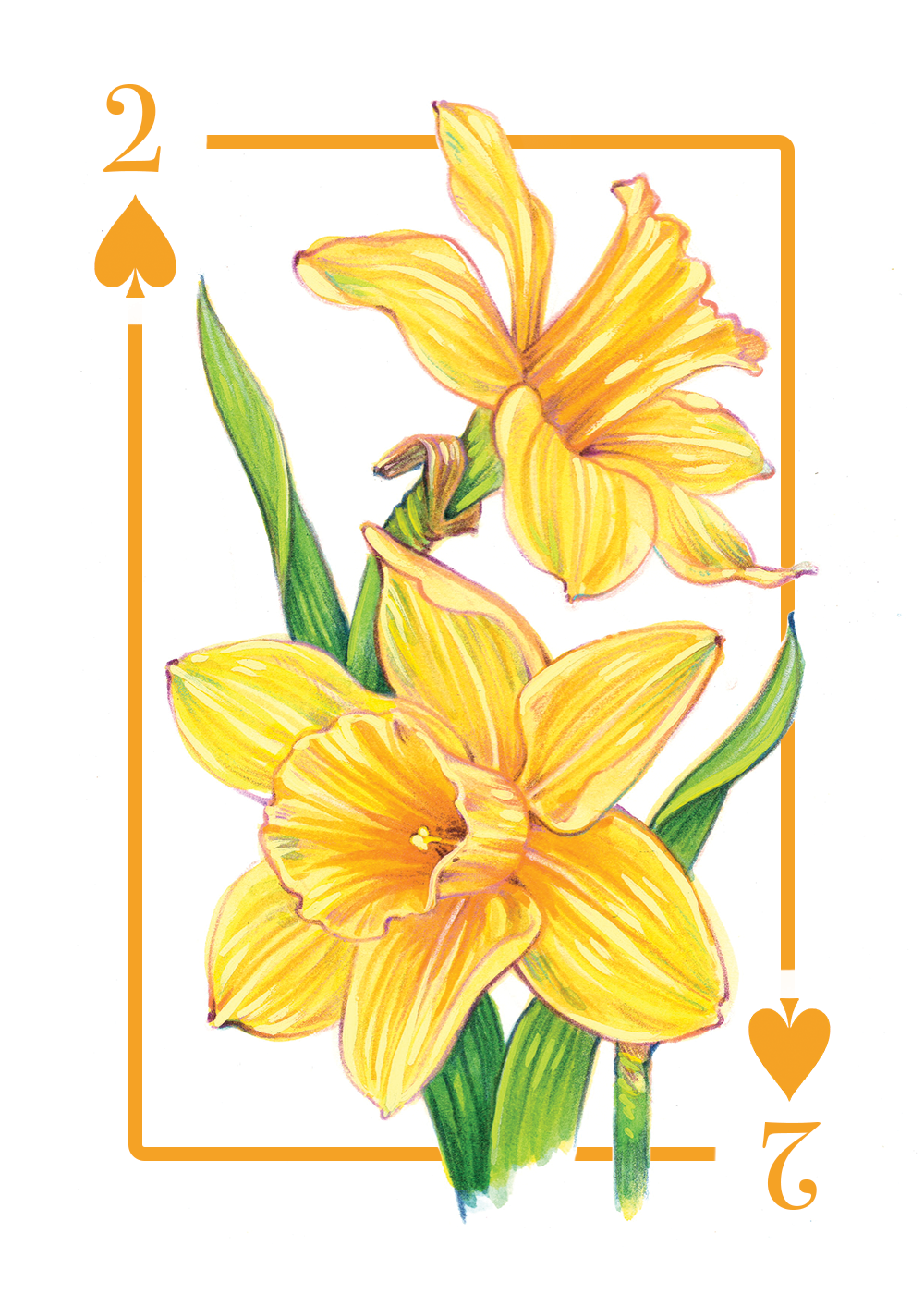 2_spades_first draft.PNG