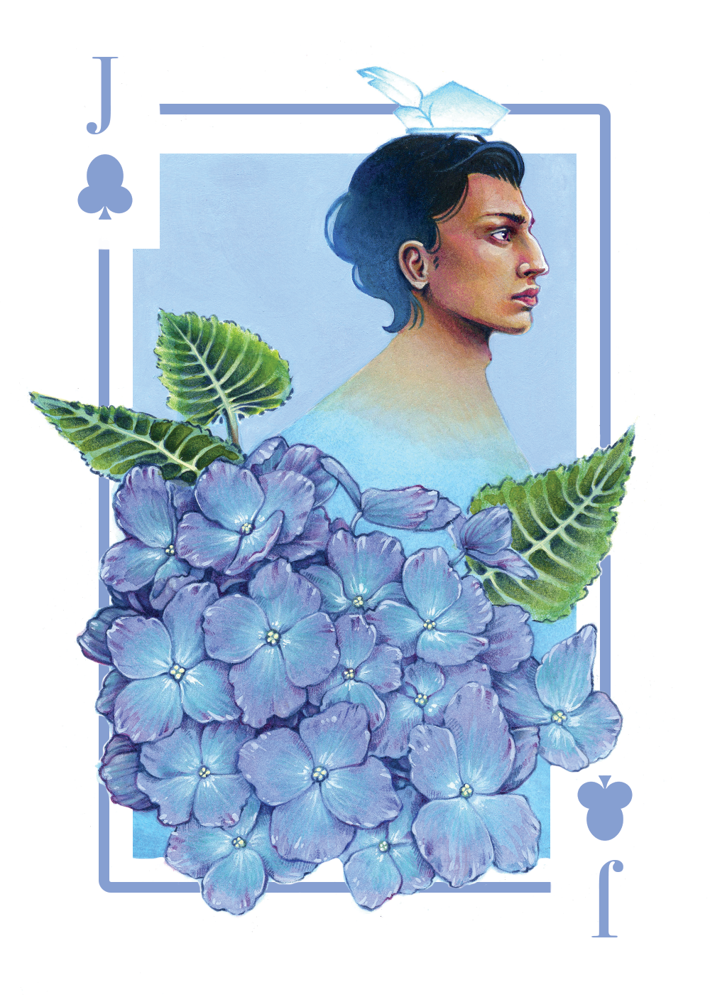 Hydrangeas 