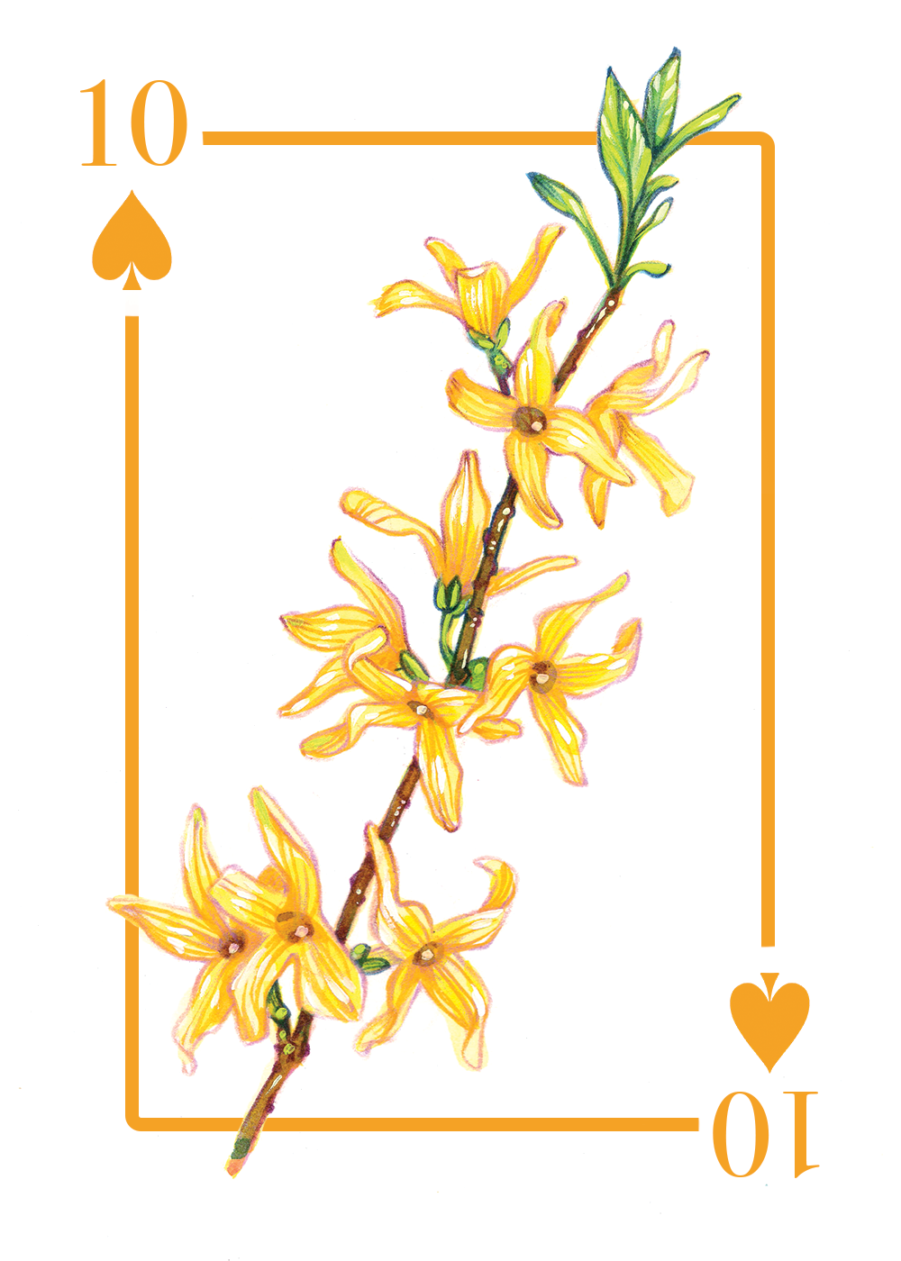 10_spades_first draft.PNG