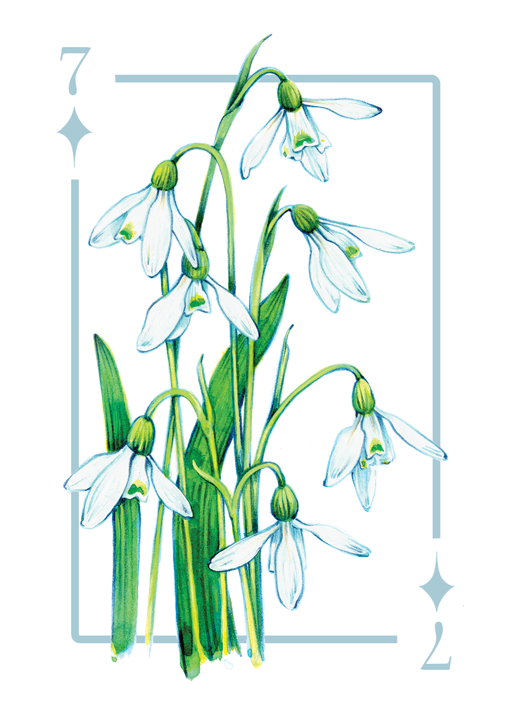 7_diamonds_first draft.PNG