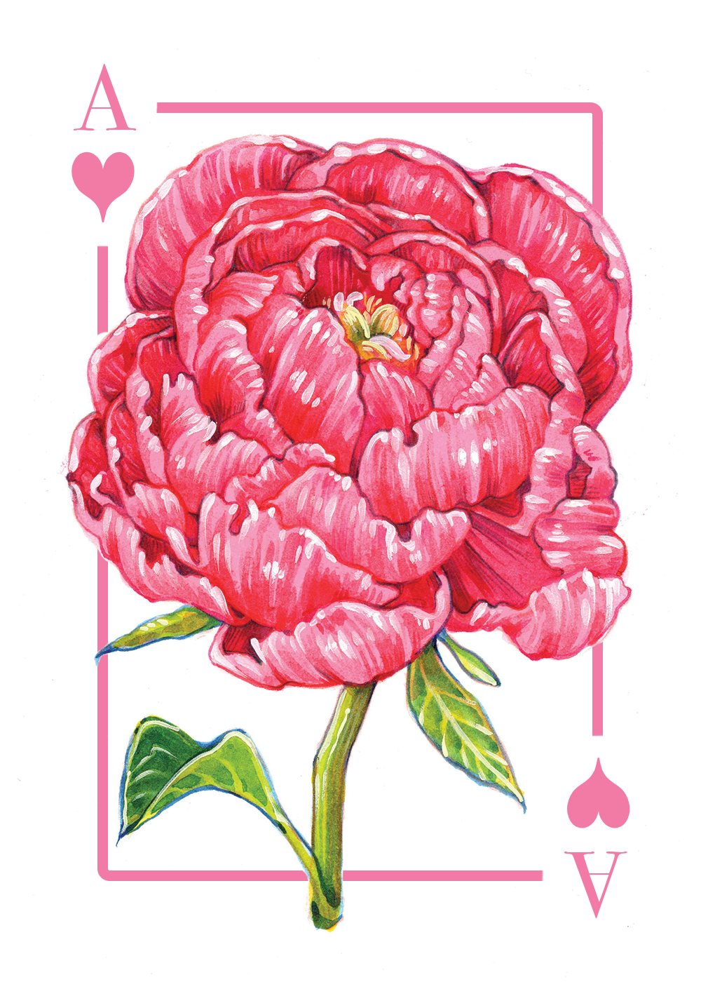 A_hearts_first draft.PNG