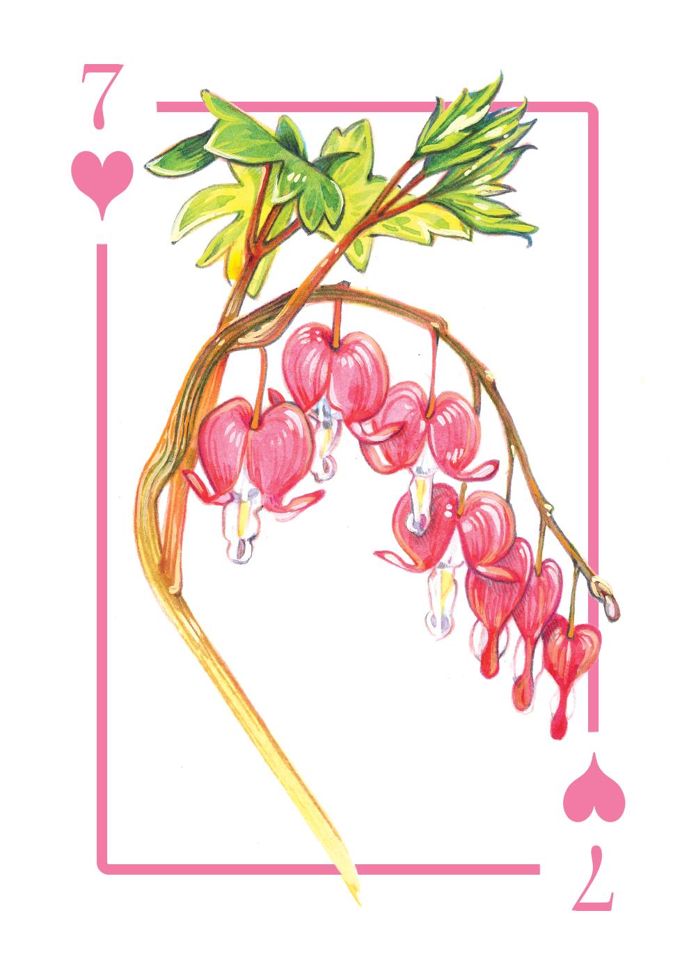 7_hearts_first draft.PNG