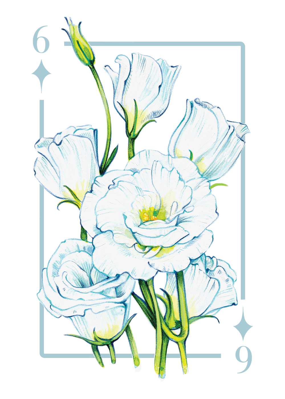 6_diamonds_first draft.PNG