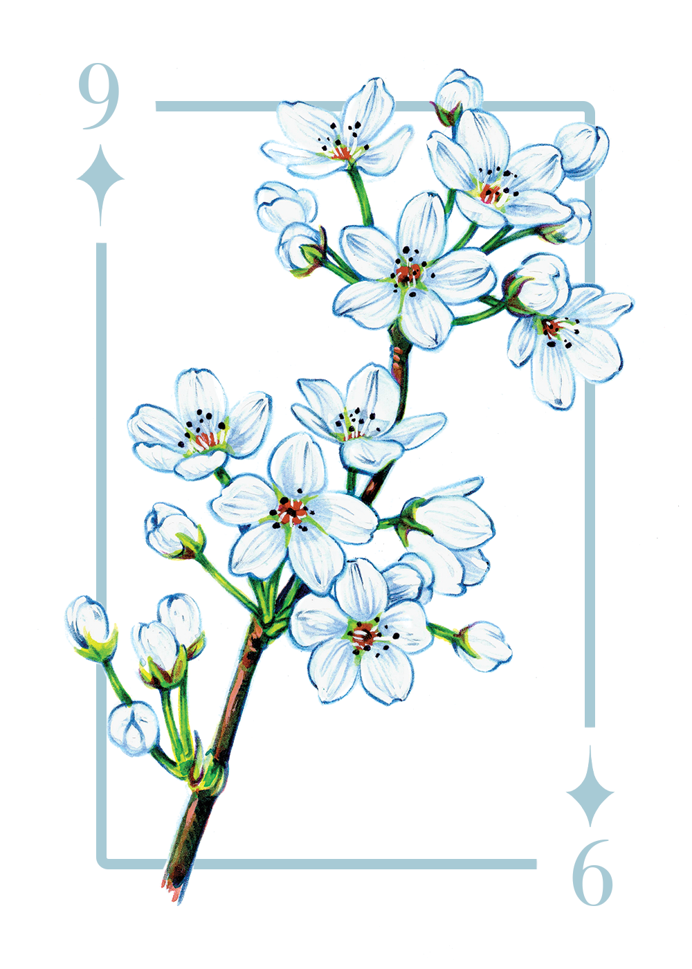 9_diamonds_first draft.PNG