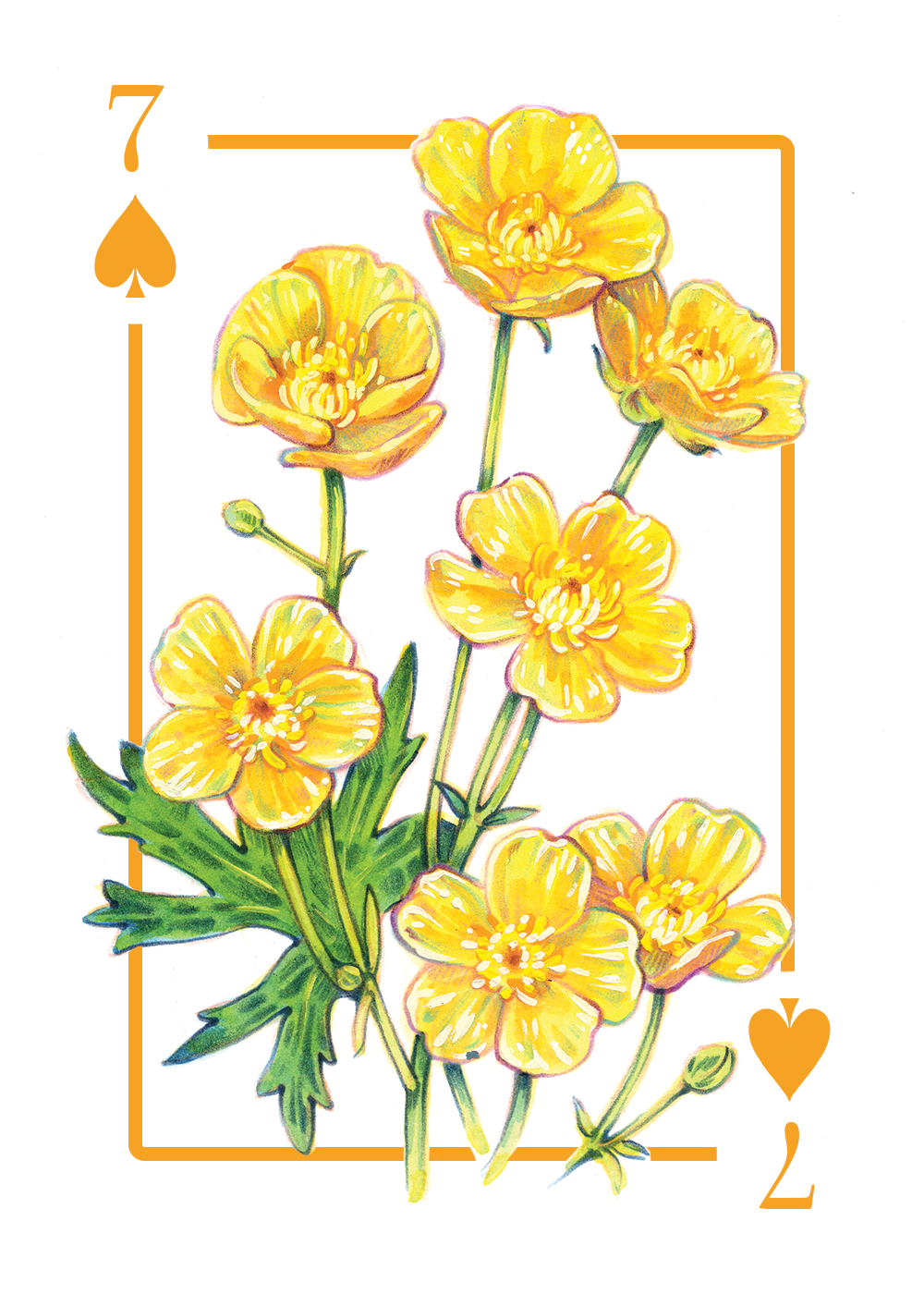 7_spades_first draft.PNG