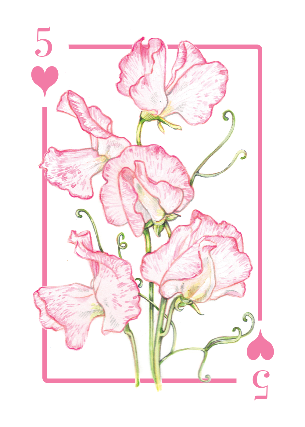 5_hearts_first draft.PNG