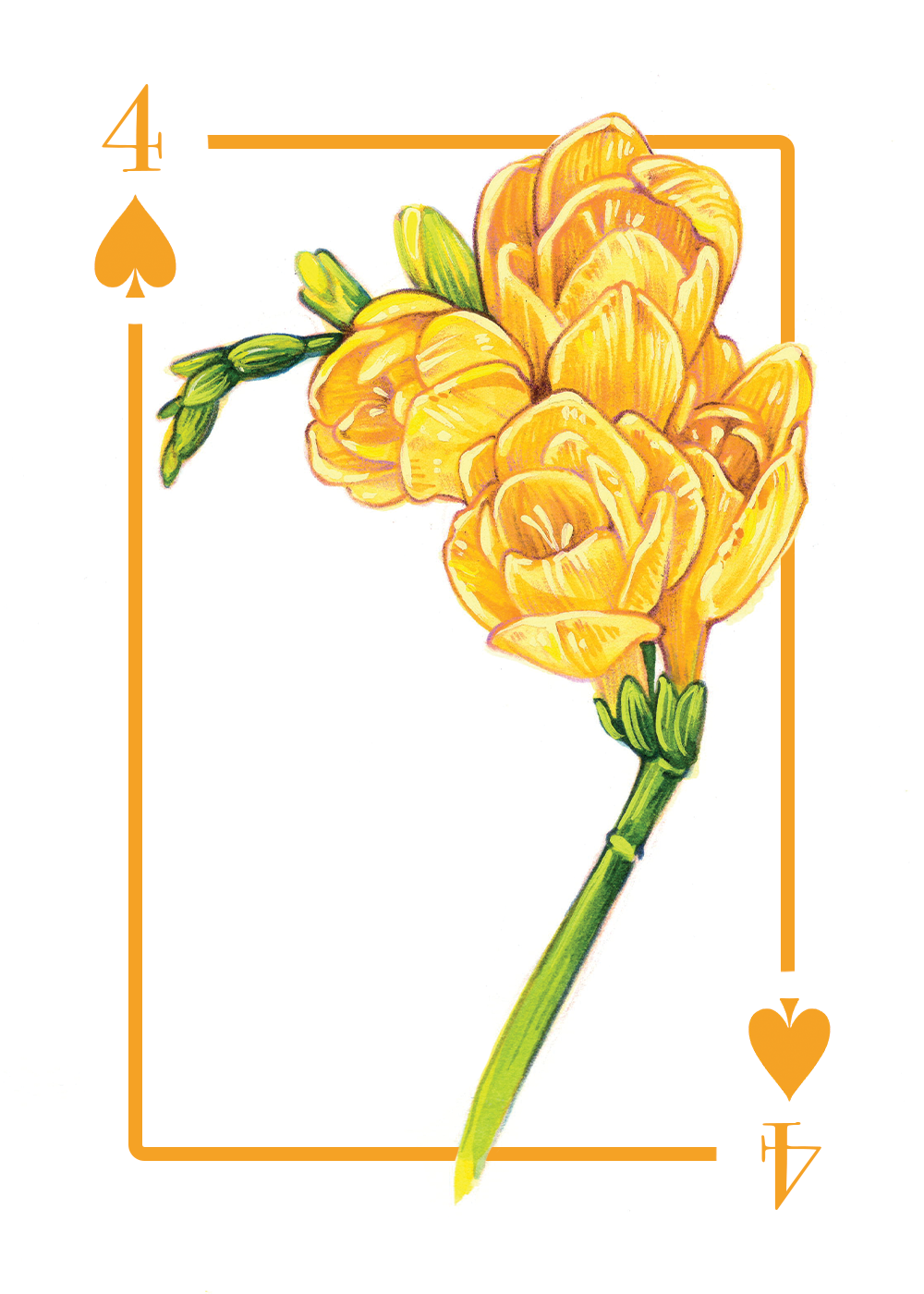 4_spades_first draft.PNG