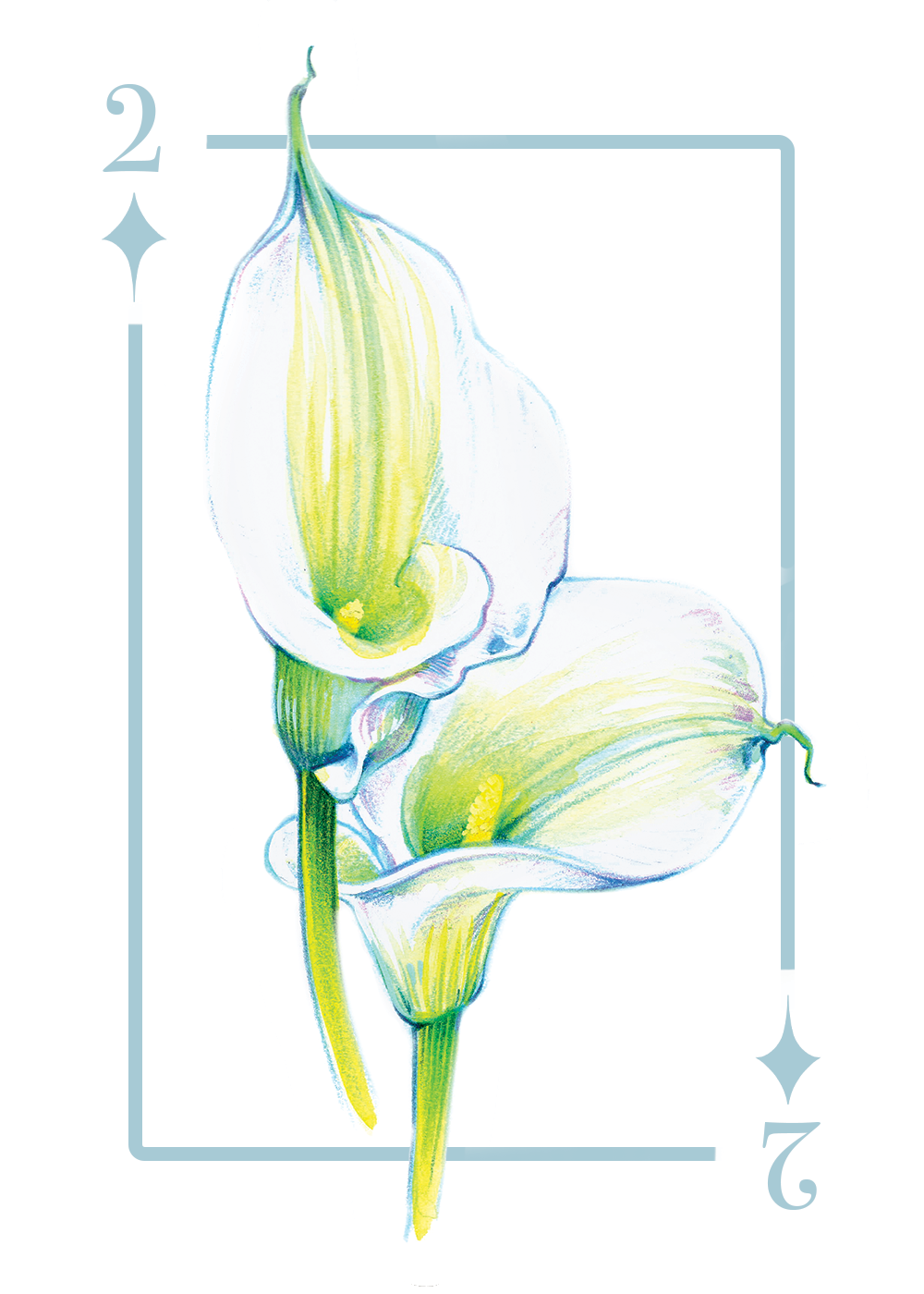 2_diamonds_first draft.PNG