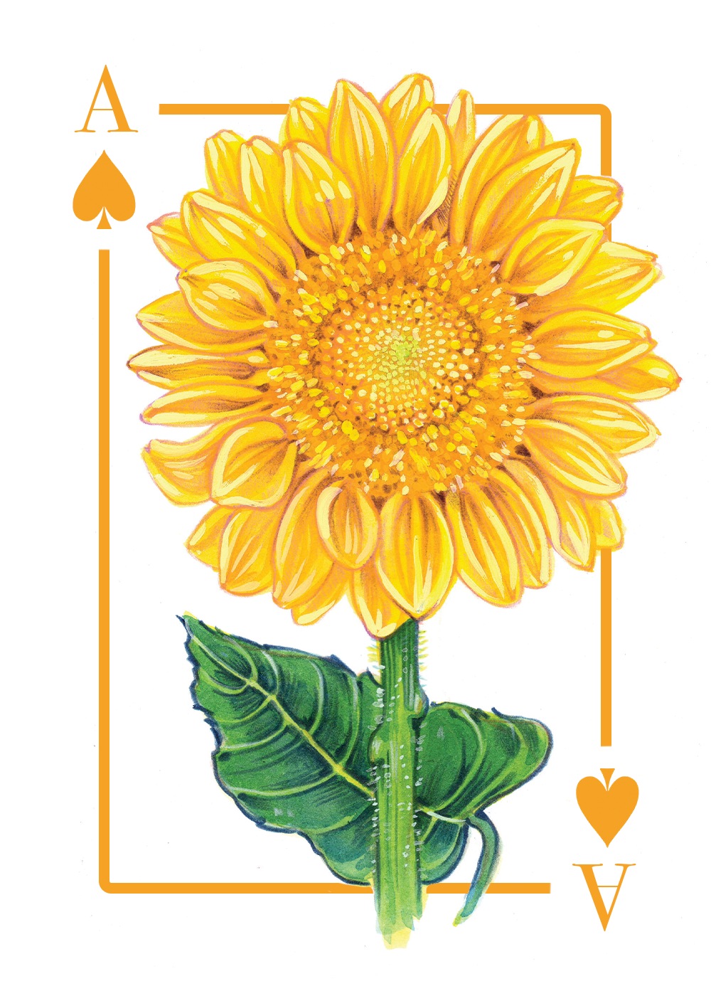 A_spades_first draft.PNG