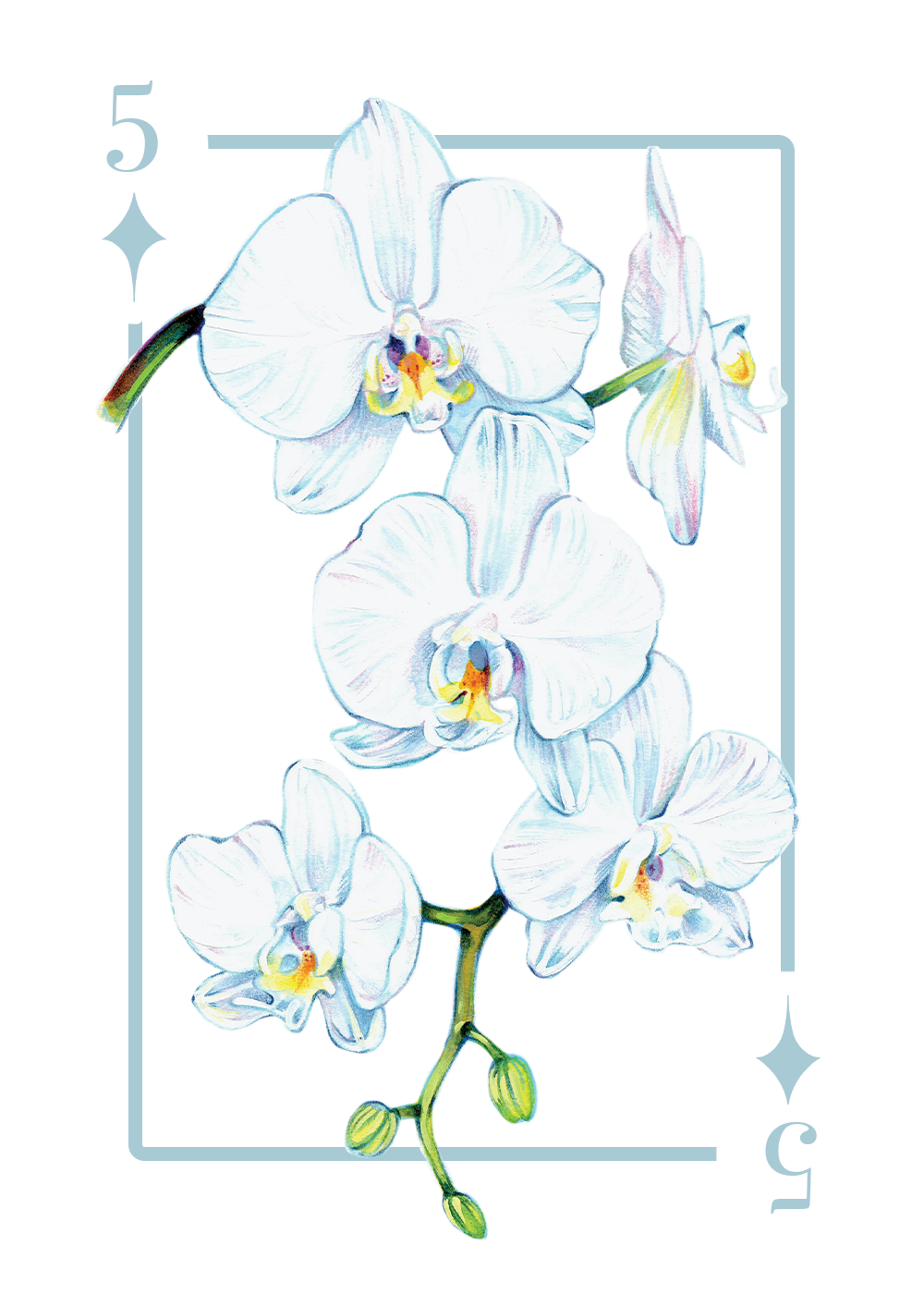 5_diamonds_first draft.PNG