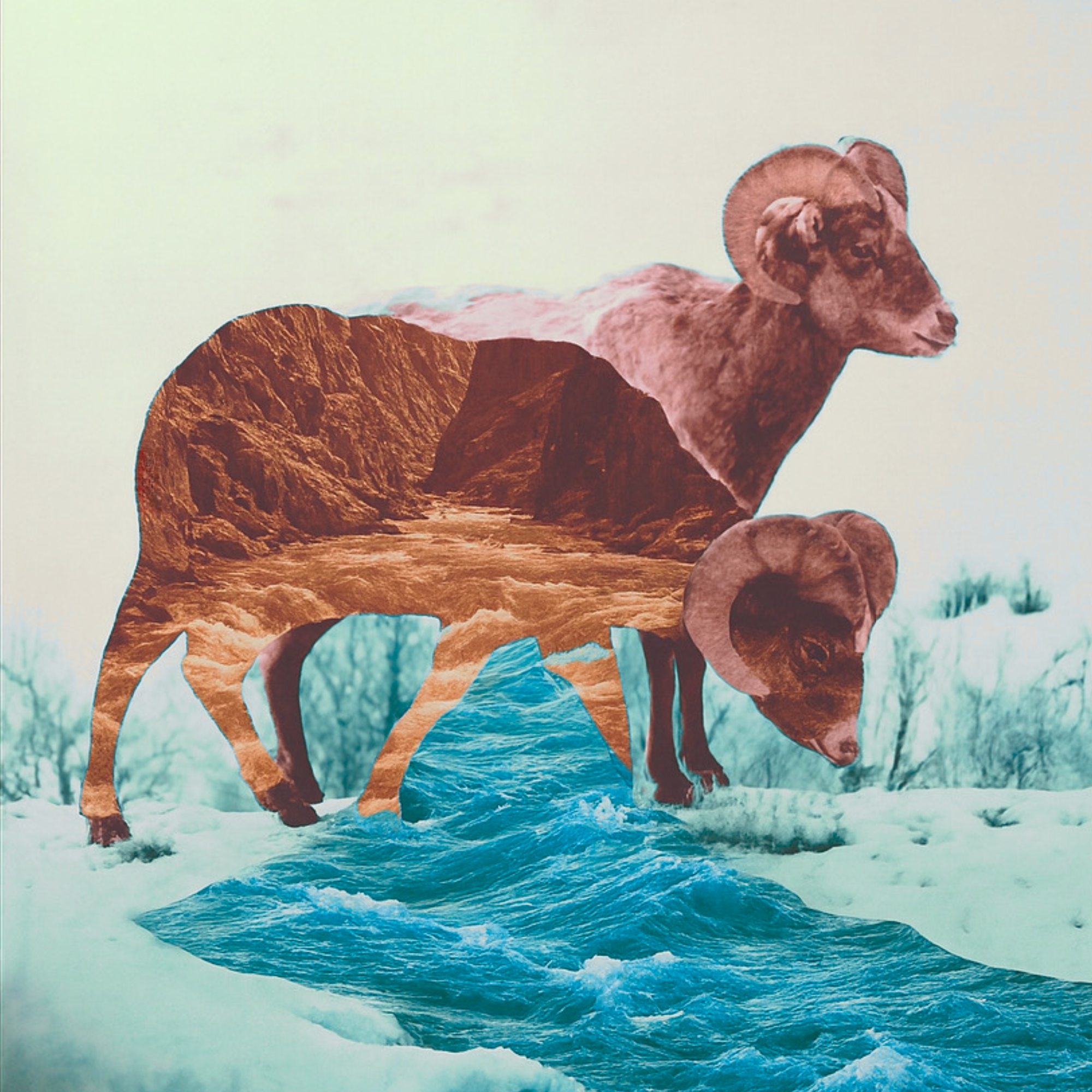 Untitled design (34).png