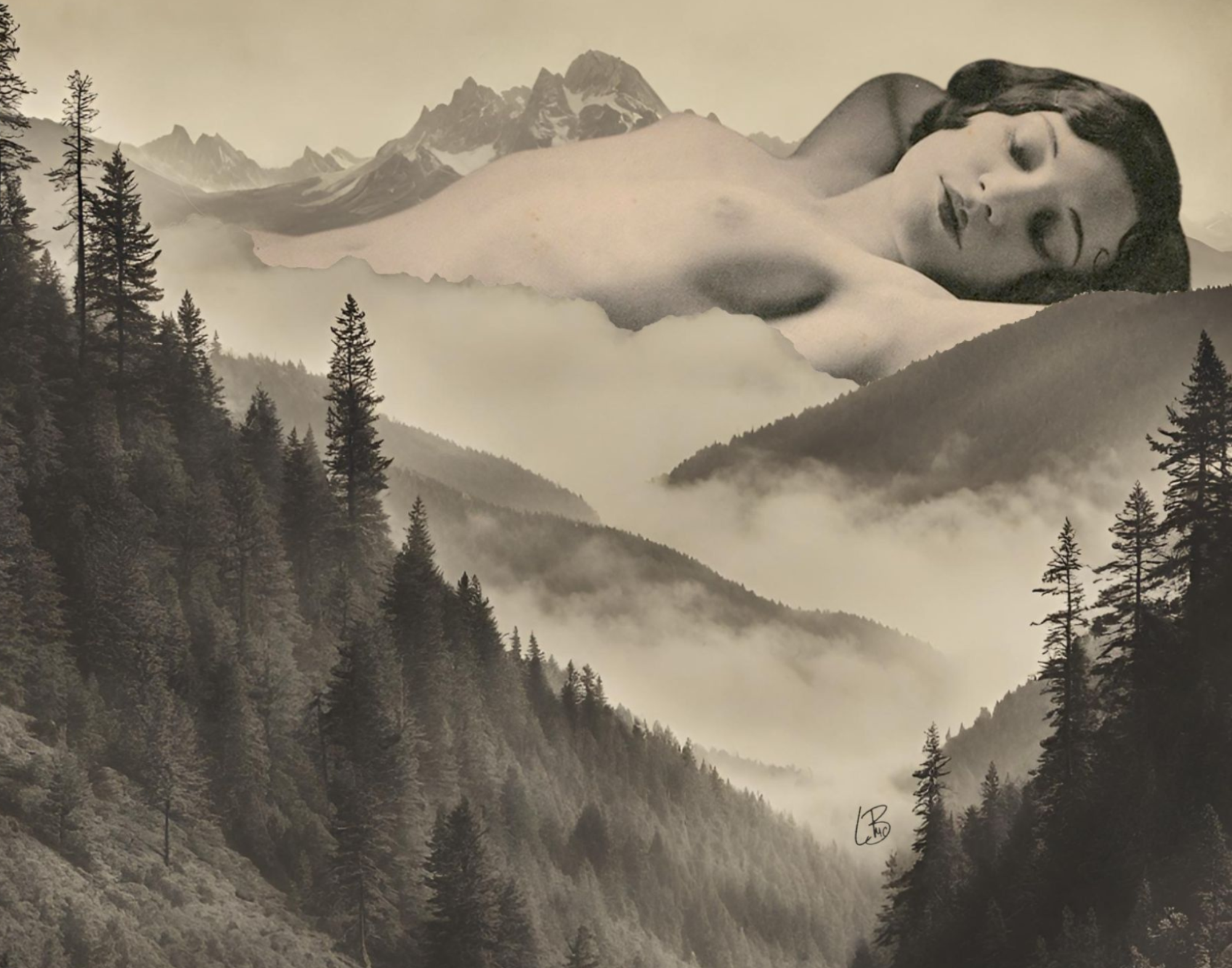 Untitled design (78).png