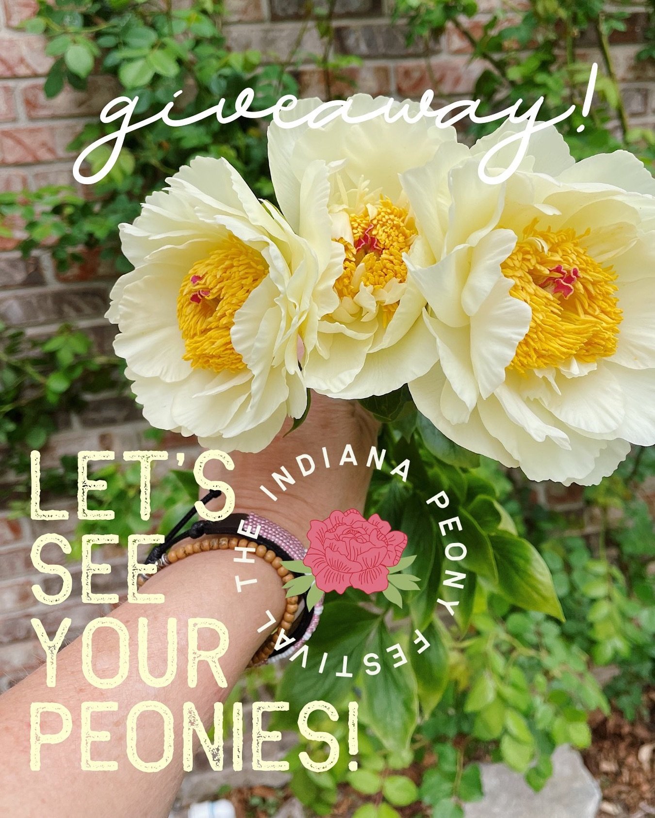 HAPPY PEONY SEASON peony lovers🌸💐🌼 Our town of @noblesvillein is about to be bursting with blooms! Let&rsquo;s see your best peony shot📸 Take your best photo of your blooming peony and tag us on Instagram at @indianapeonyfestival for a chance to 