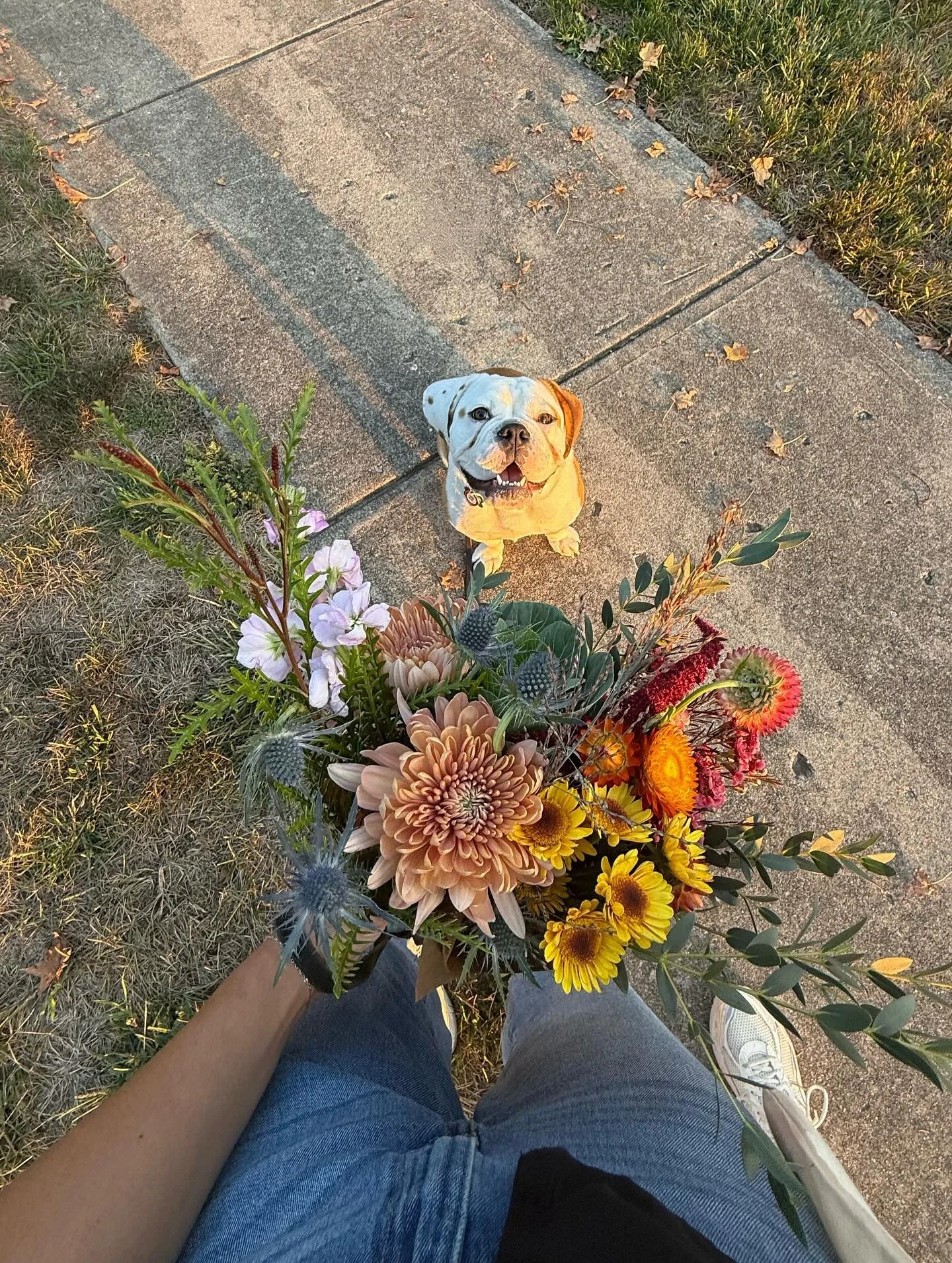YOUR photos from the last Noblesville Flower Market sponsored by @noblesvilleacehardware603 @keepnoblesvillebeautiful_knb &amp; @hometownwdc 🌸🌾🍂 Who do you think will take home the winning bouquet at the next October market for best pic?!👇🏼