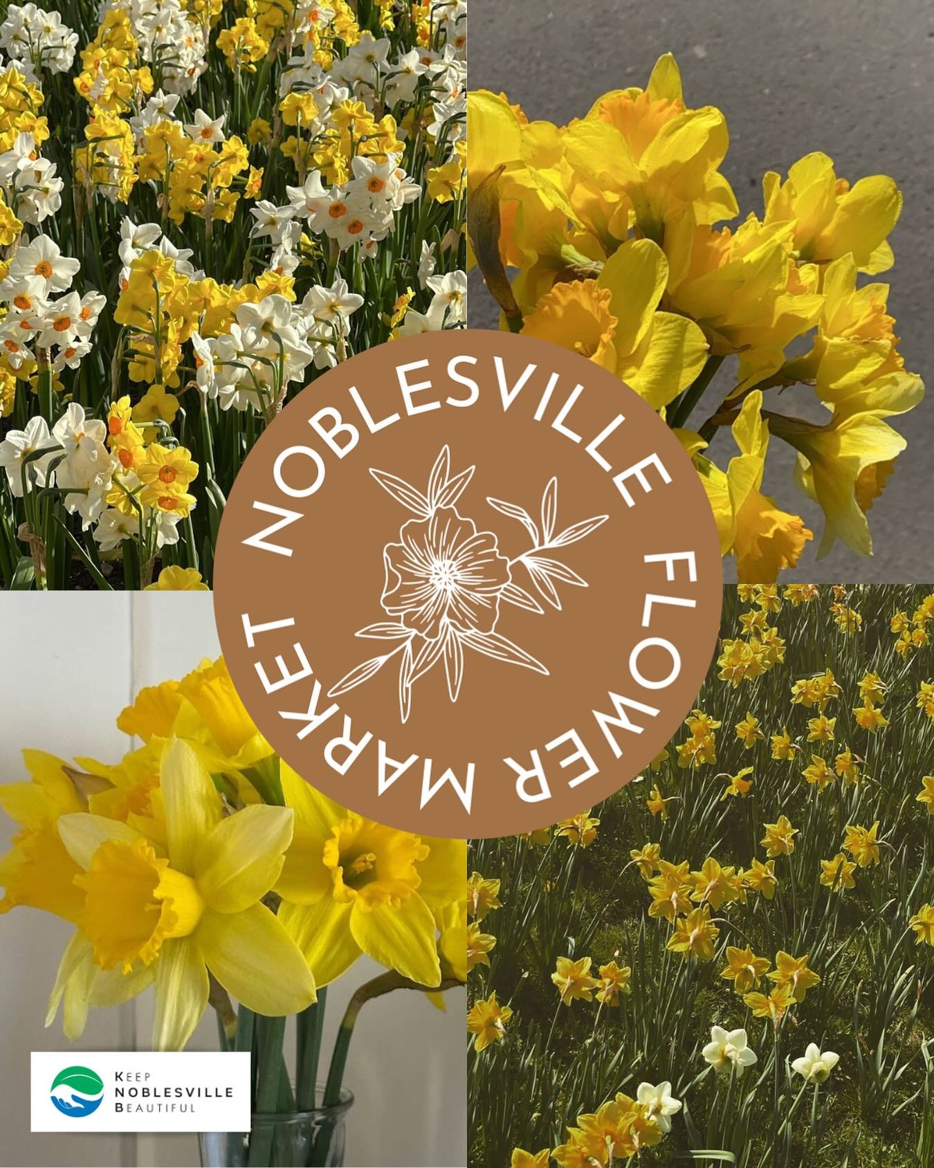 Nothing spooky about this announcement 👻🌼

Our friends &amp; market sponsor Keep Noblesville Beautiful will be all set up at tomorrow&rsquo;s Noblesville Flower Market from 5&ndash;8pm in Seminary Park selling classic yellow Dutch Master daffodil b