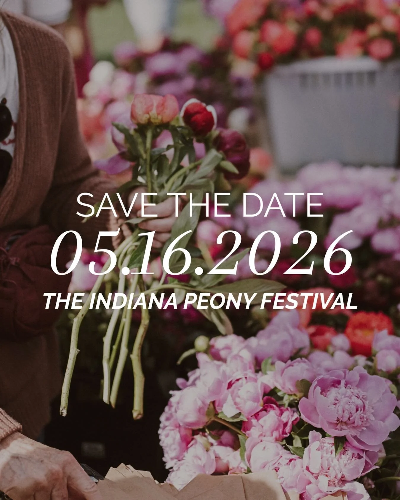 The 6th annual Indiana Peony Festival sponsored by @smithsonthesquare is Saturday, May 16 from 10am&ndash;4pm in Seminary Park &amp; the surrounding streets of downtown Noblesville, Indiana. Other important notices below👇

🌸 This event is free &amp