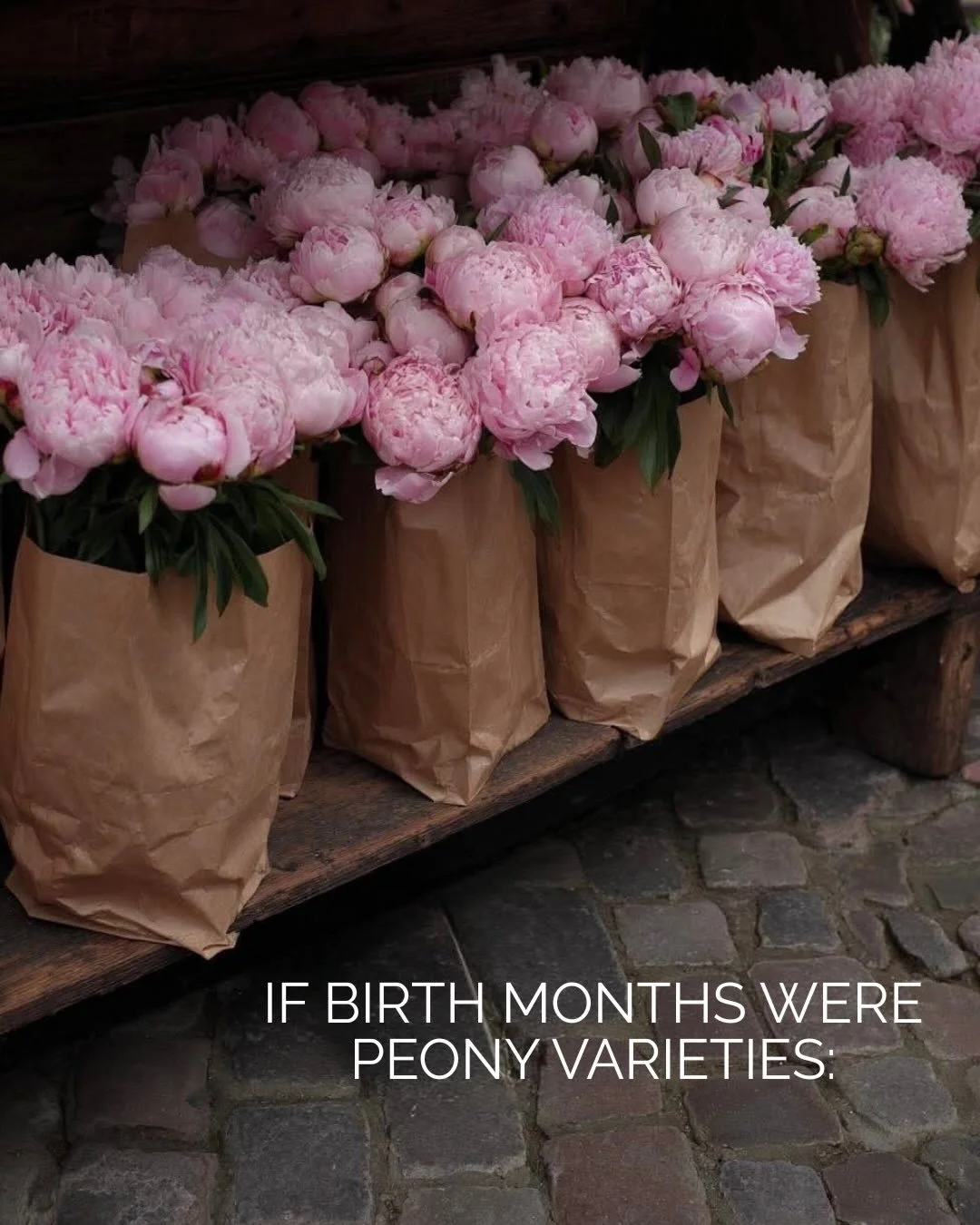 If peonies bloomed all year, we think they&rsquo;d look like this🌸 Join us Saturday, May 16 for the 6th annual Indiana Peony Festival sponsored by @smithsonthesquare 

Photos sourced from @pinterest