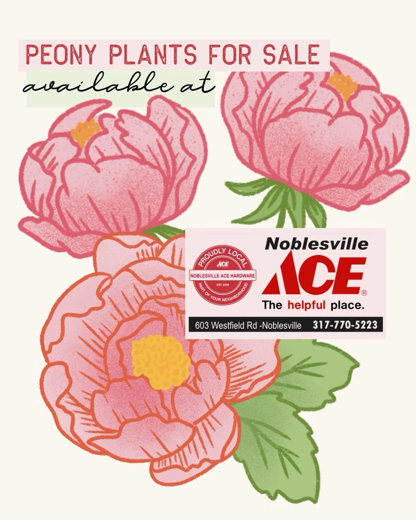 Once again this year, we&rsquo;ve partnered with our official Peony Plant Tent sponsor Noblesville Ace Hardware to provide you with some stunning &amp; carefully curated peony varieties at our local Ace location! Check out this incredible list below.