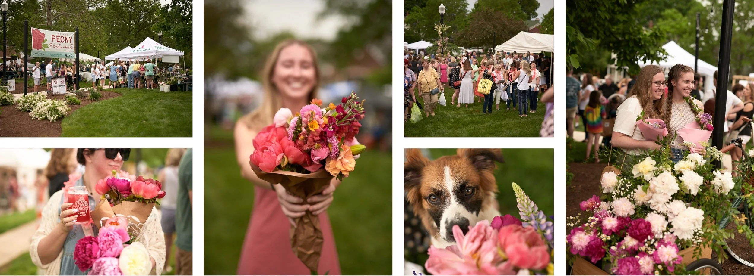 Indiana Peony Festival