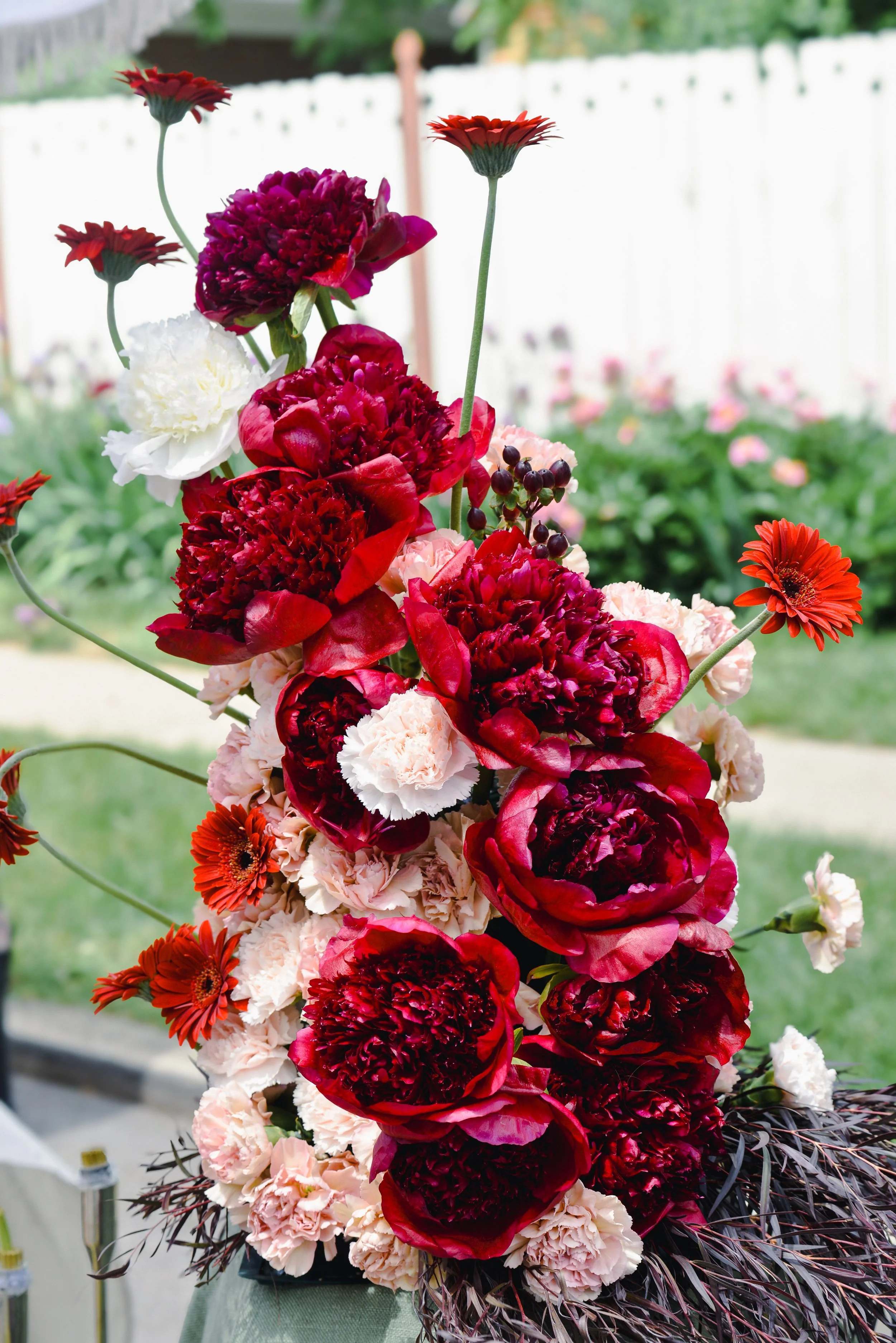 Southern Sky - 2025 Indiana Peony Festival -22.jpg