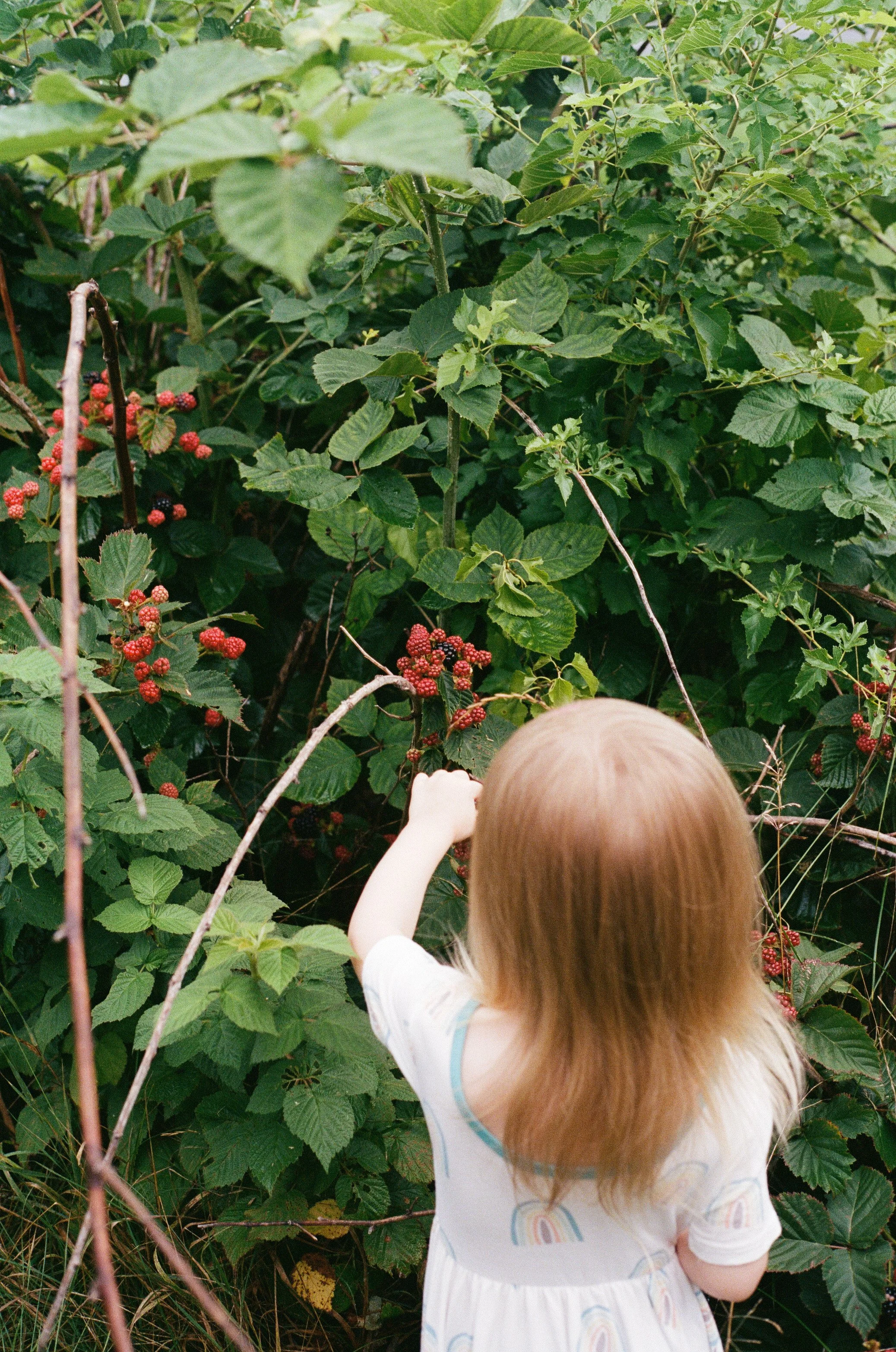 DAWSON FILM-9.jpg