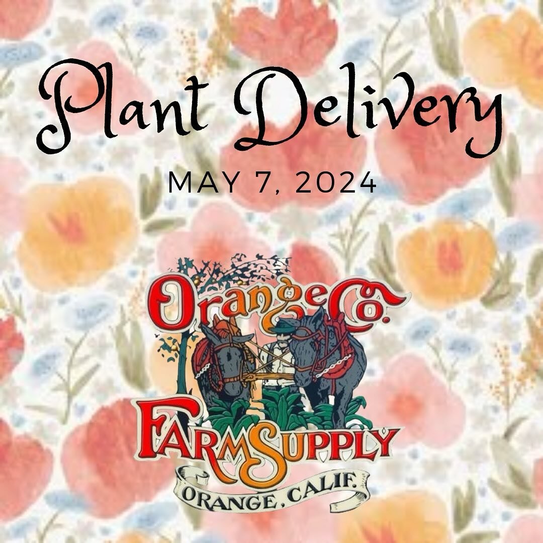 New delivery! Check the link in our bio for the latest delivery! 

#plantdelivery #newplants #pepperparty #plantsale #ocfarmsupply #ocfs