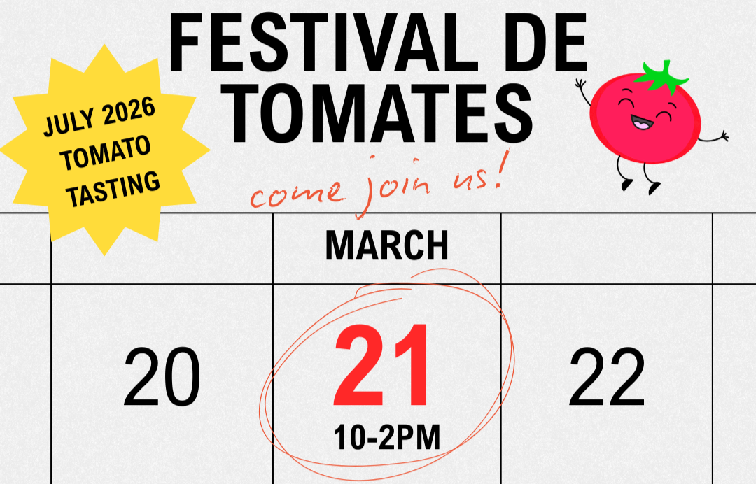 Festival de Tomates