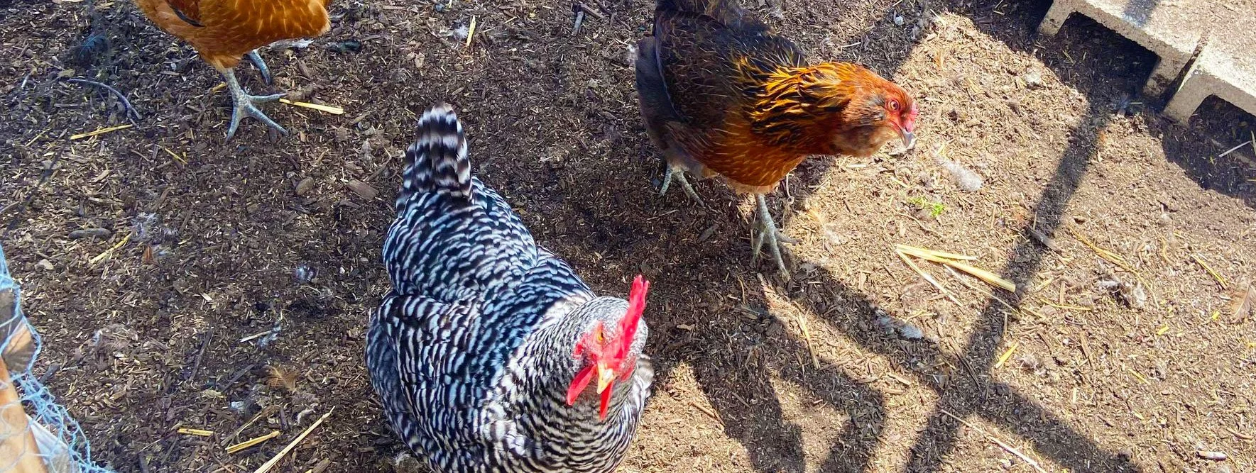 Orange County Farm Supply