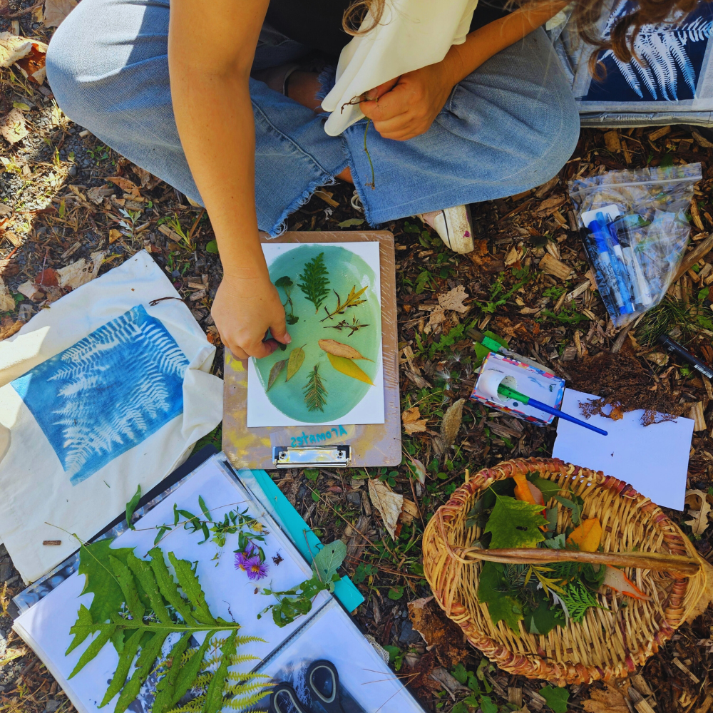 Montagne, cueillette sauvage et création : 18 septembre 2026