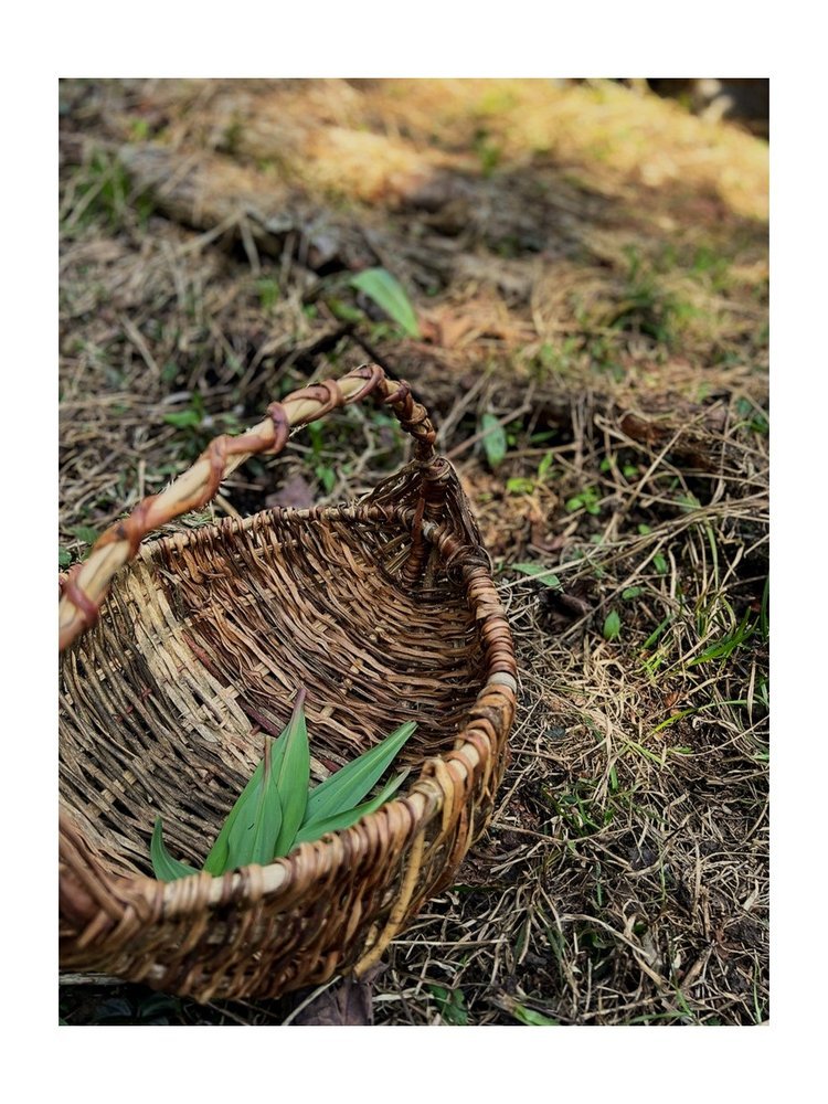 panier+resize.jpg
