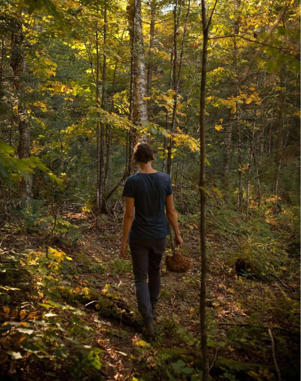 Ateliers en forêt